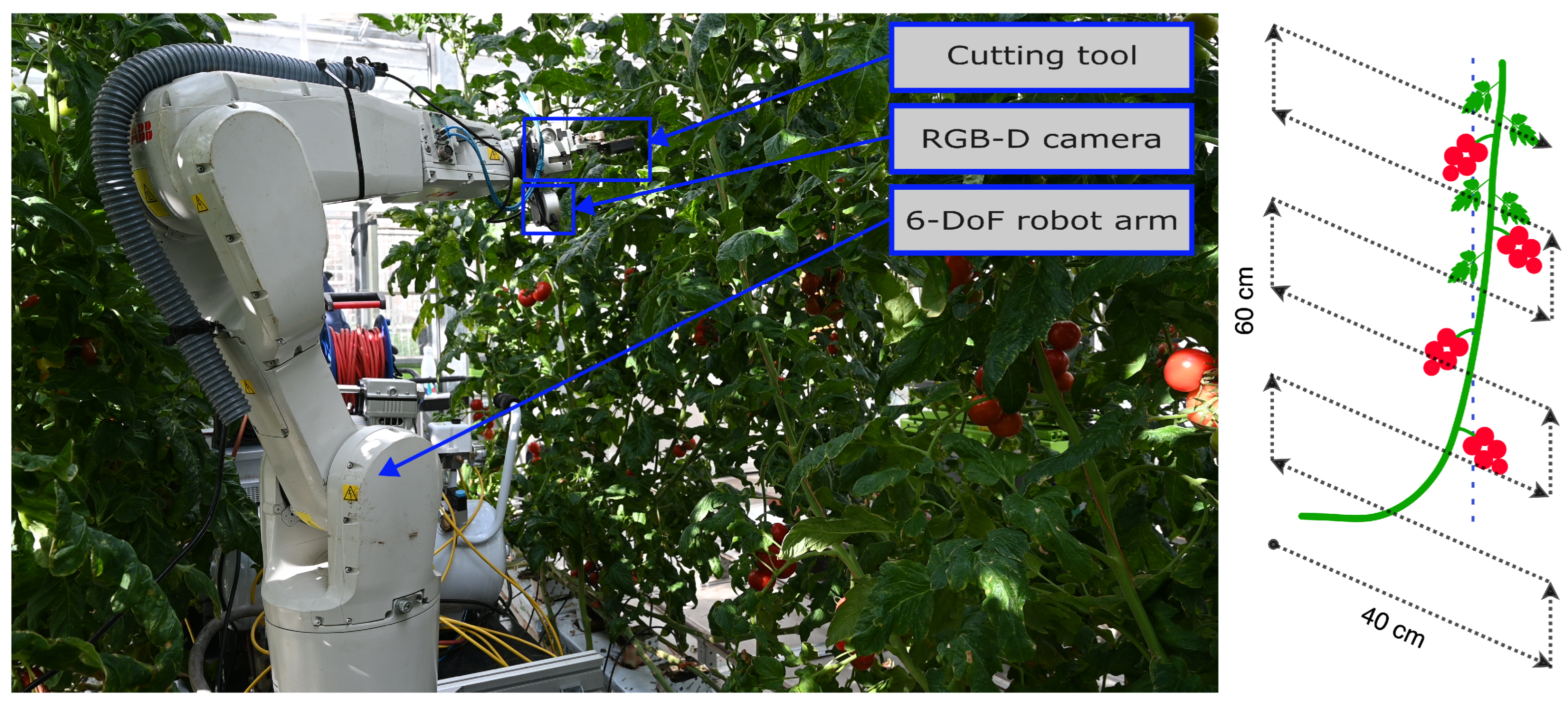 Sensors 24 07332 g001