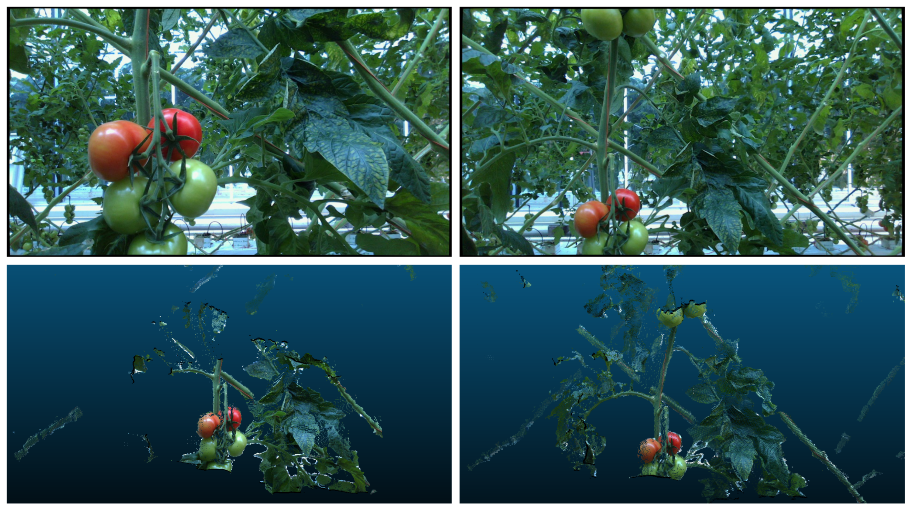 Sensors 24 07332 g002