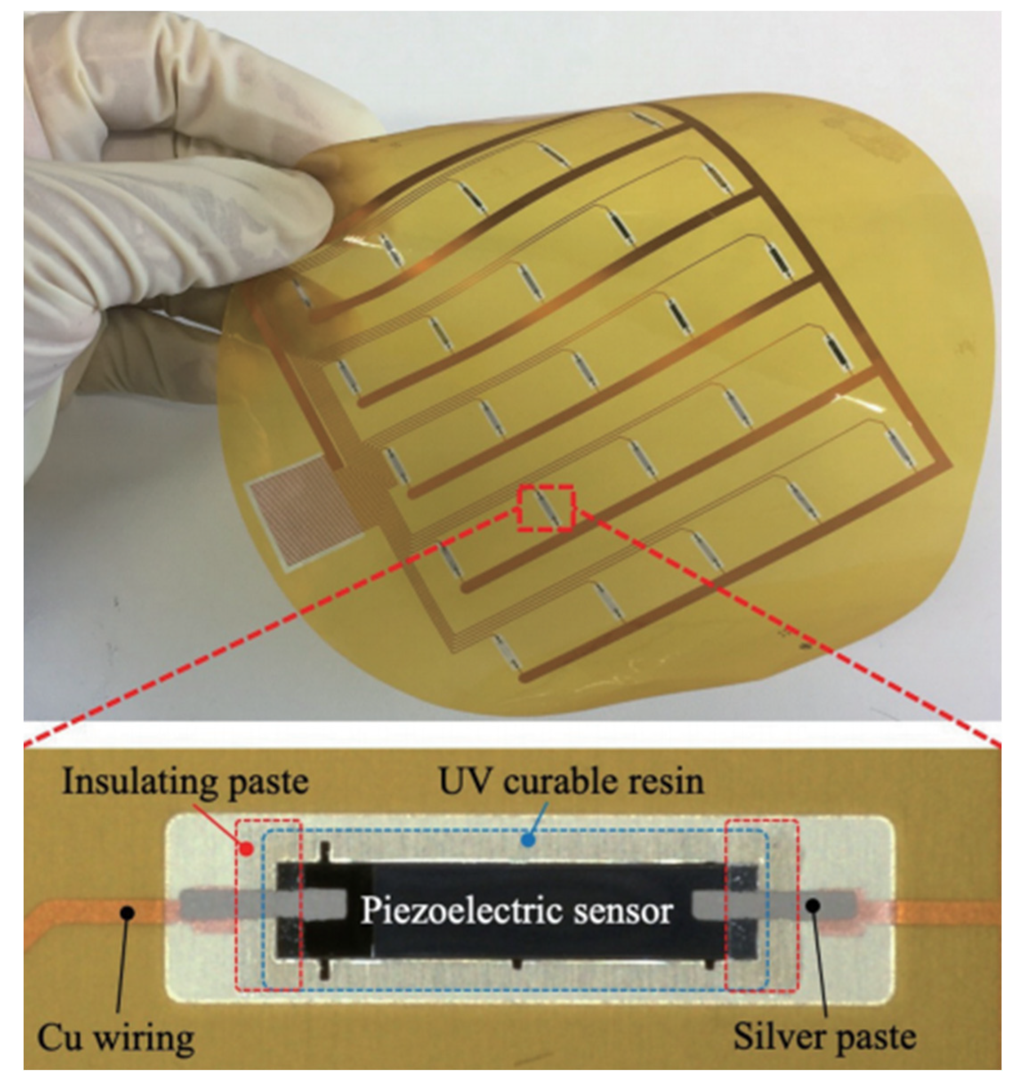 Sensors 24 07338 g002
