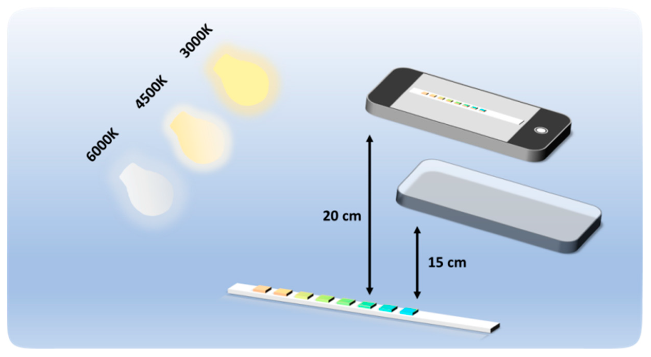 Sensors 24 07345 g002