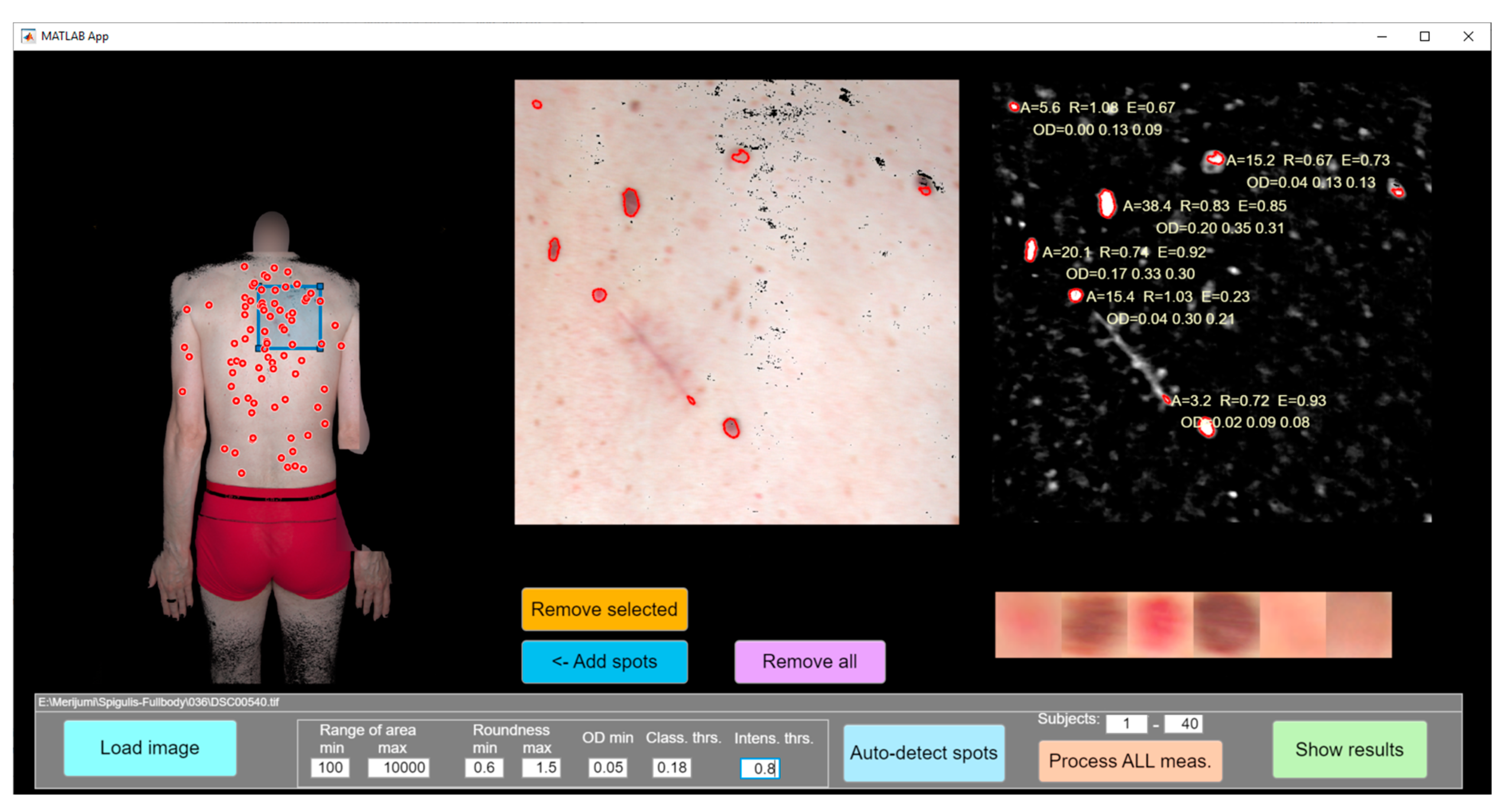 Sensors 24 07348 g002