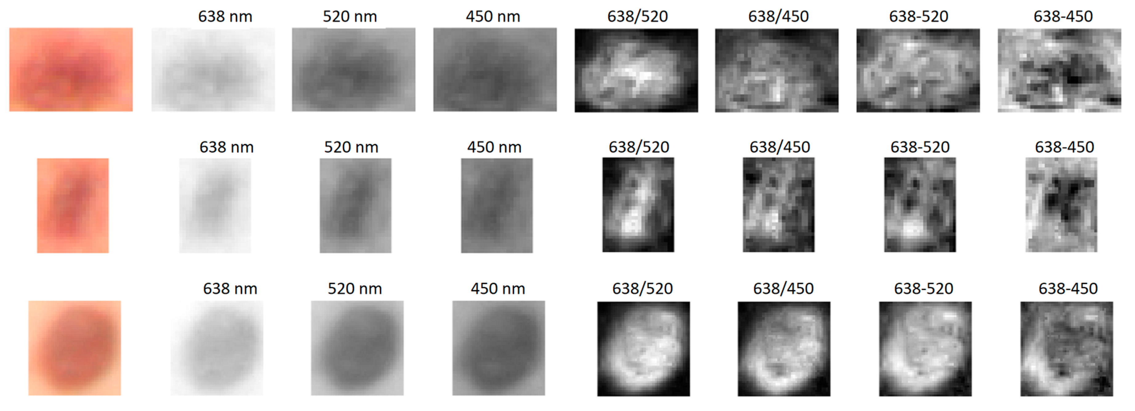 Sensors 24 07348 g008