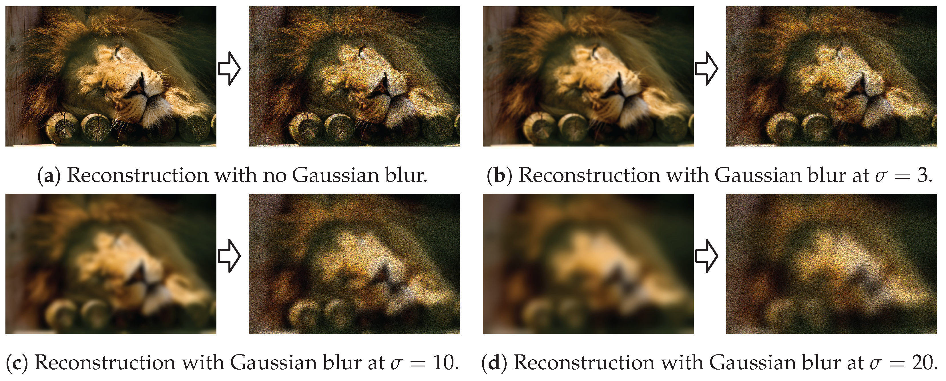 Sensors 24 07358 g011