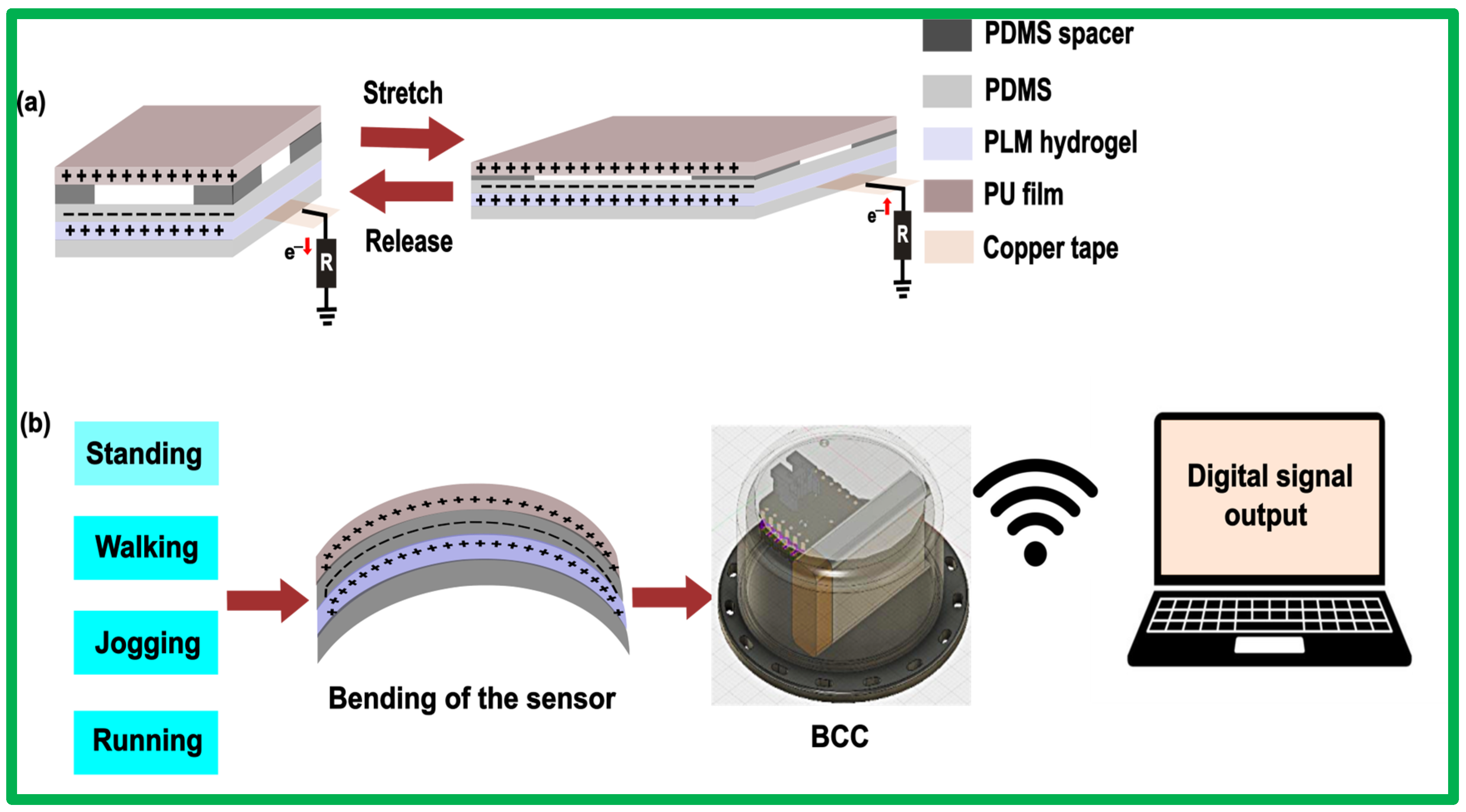 Sensors 24 07370 g005