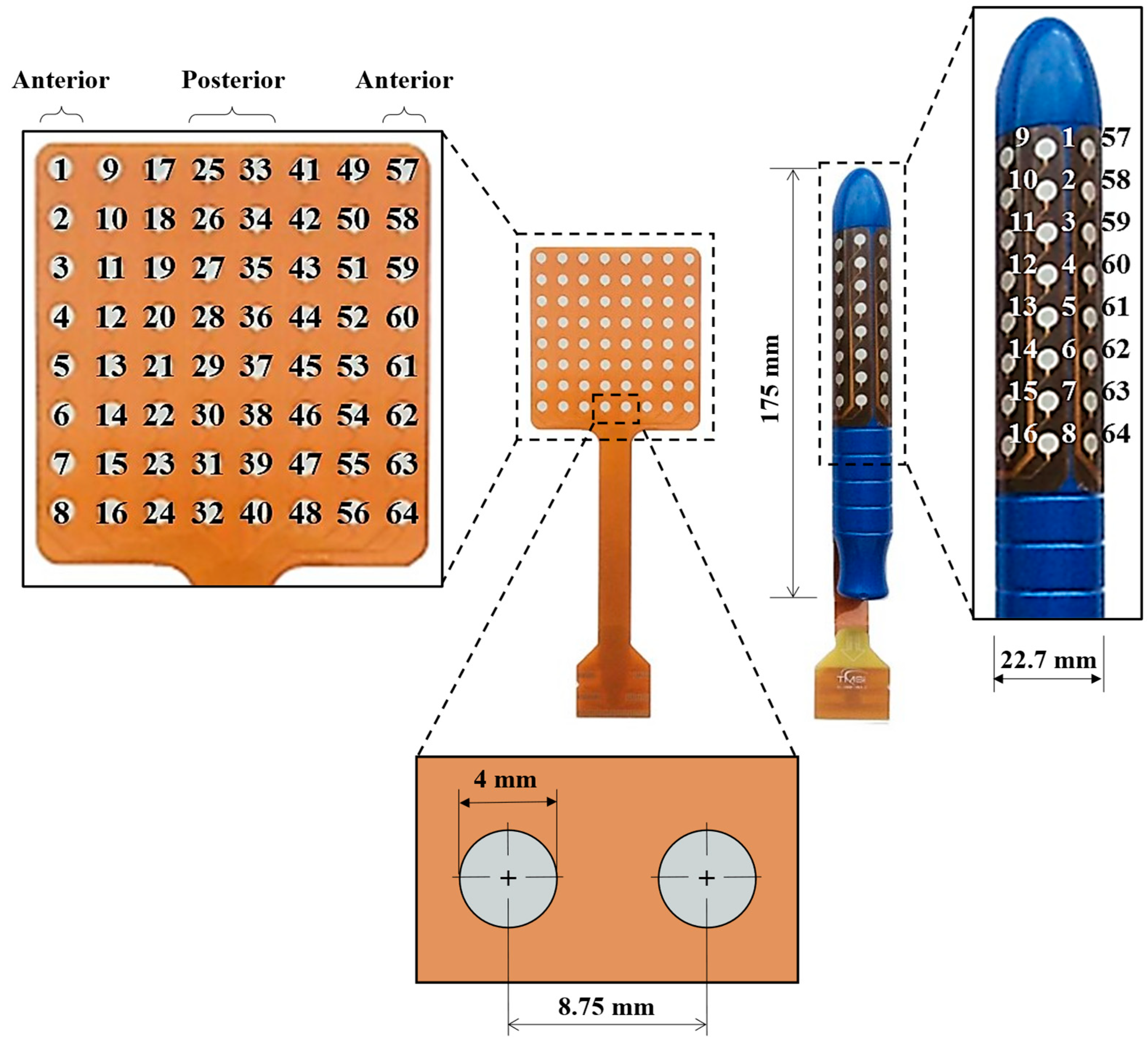 Sensors 24 07417 g001