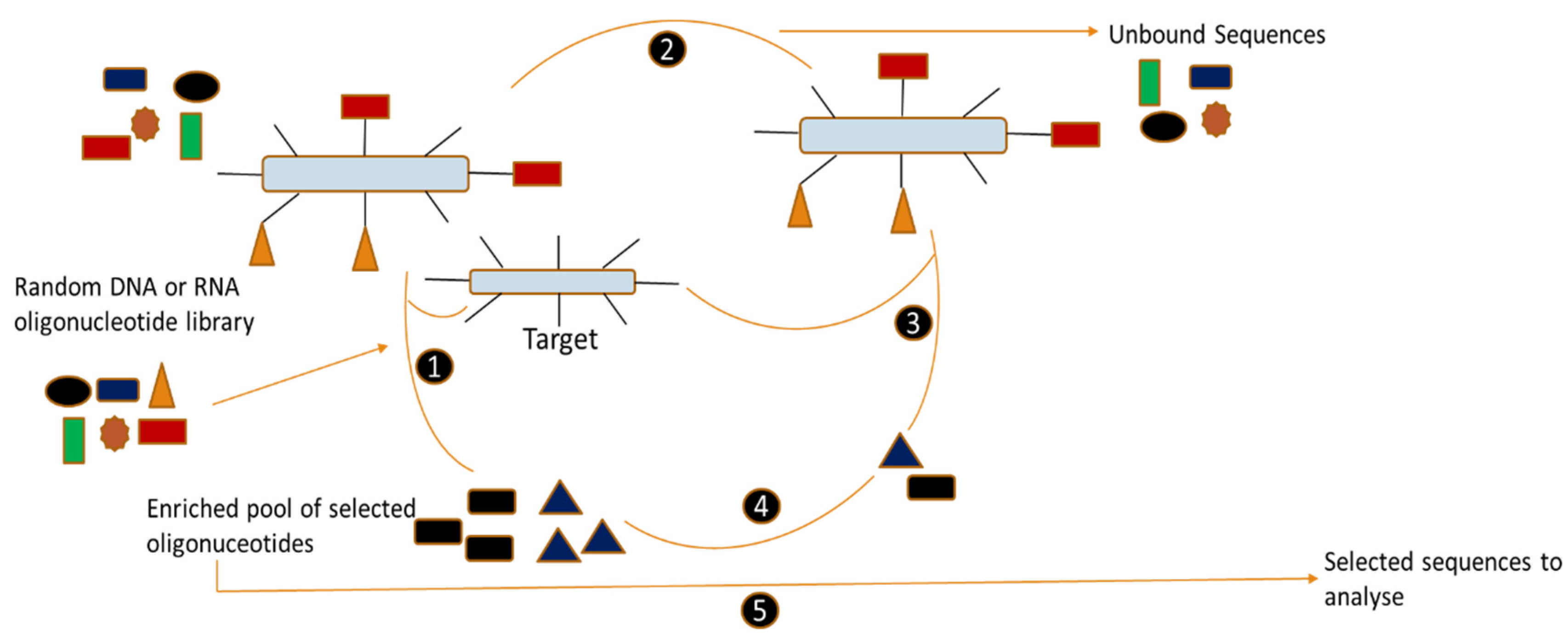 Sensors 24 07432 g001