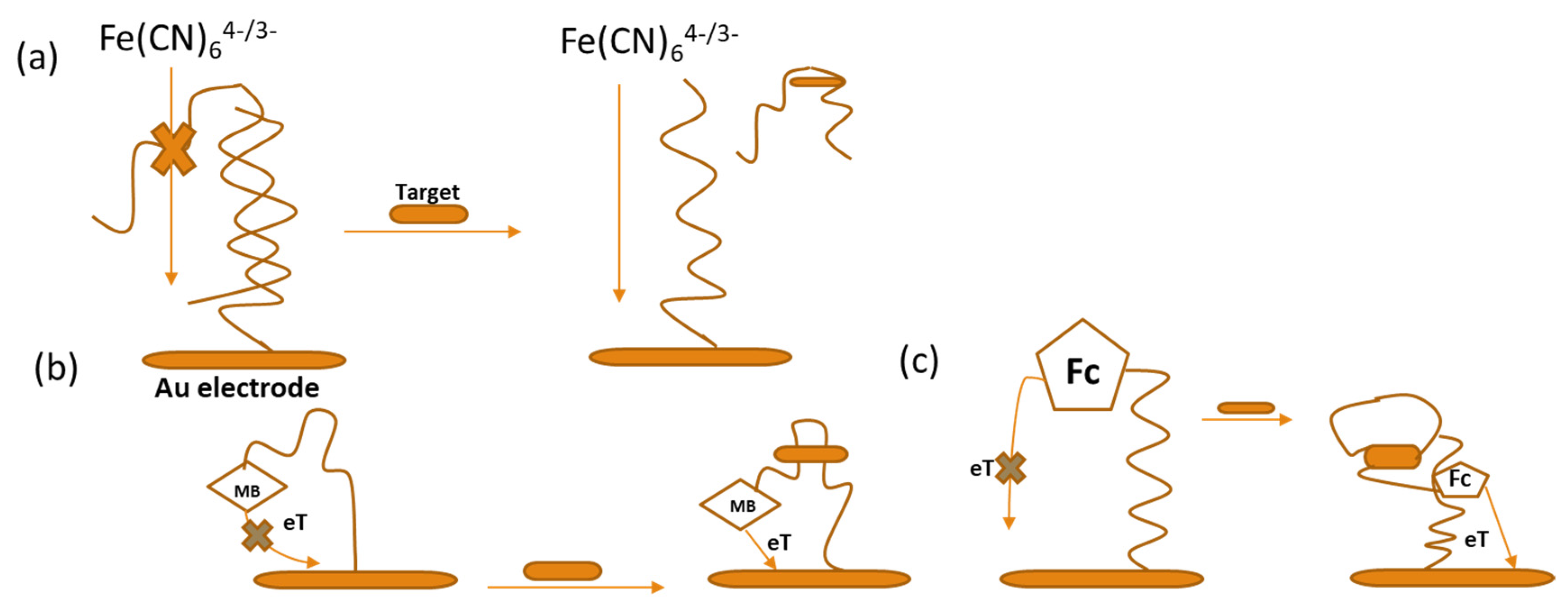 Sensors 24 07432 g002