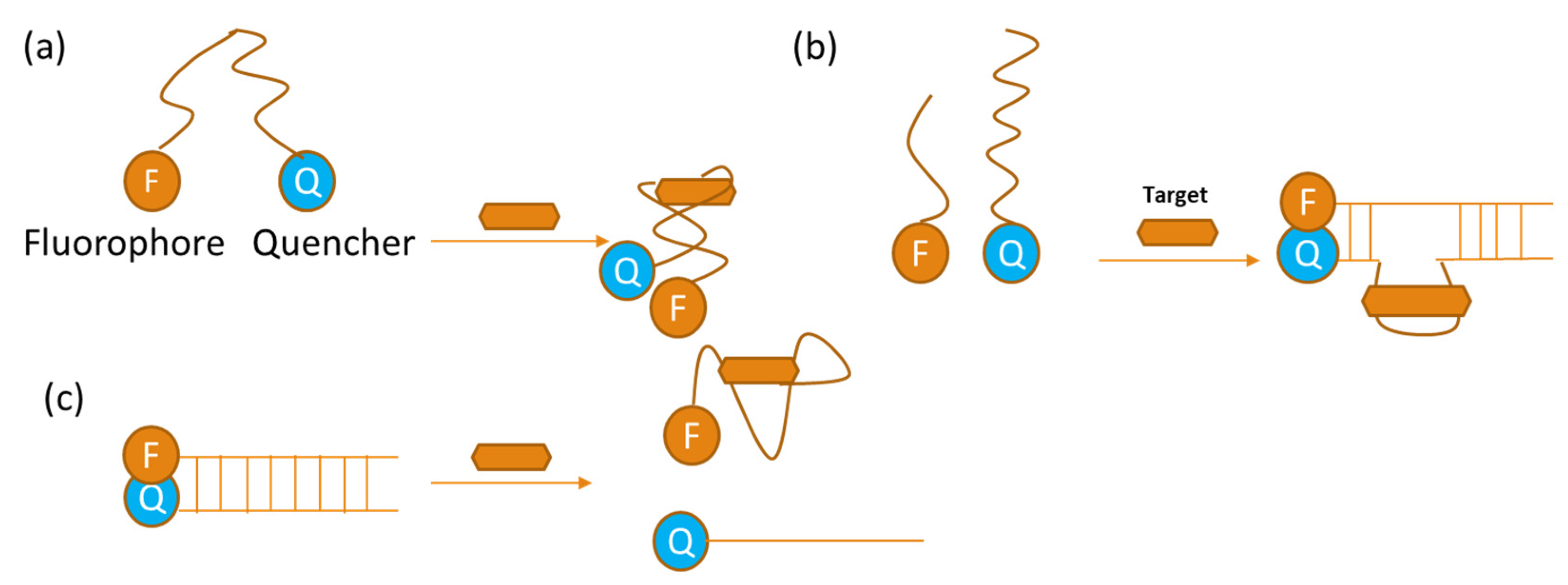 Sensors 24 07432 g003
