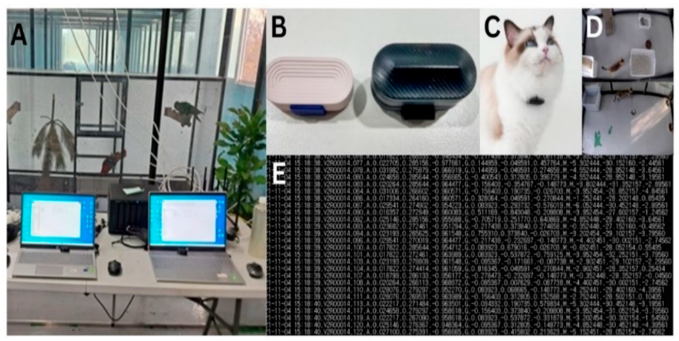 Sensors 24 07436 g003