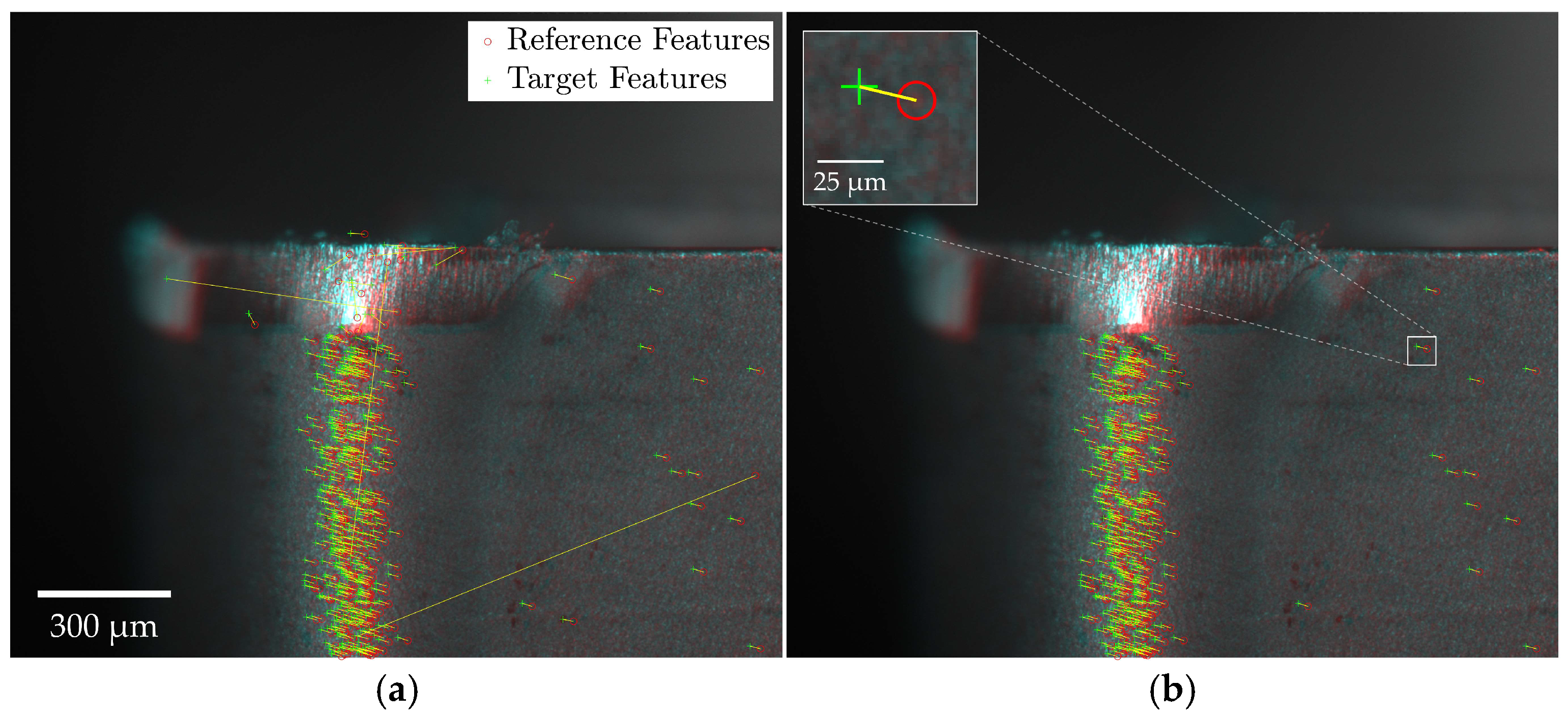 Sensors 24 07458 g007