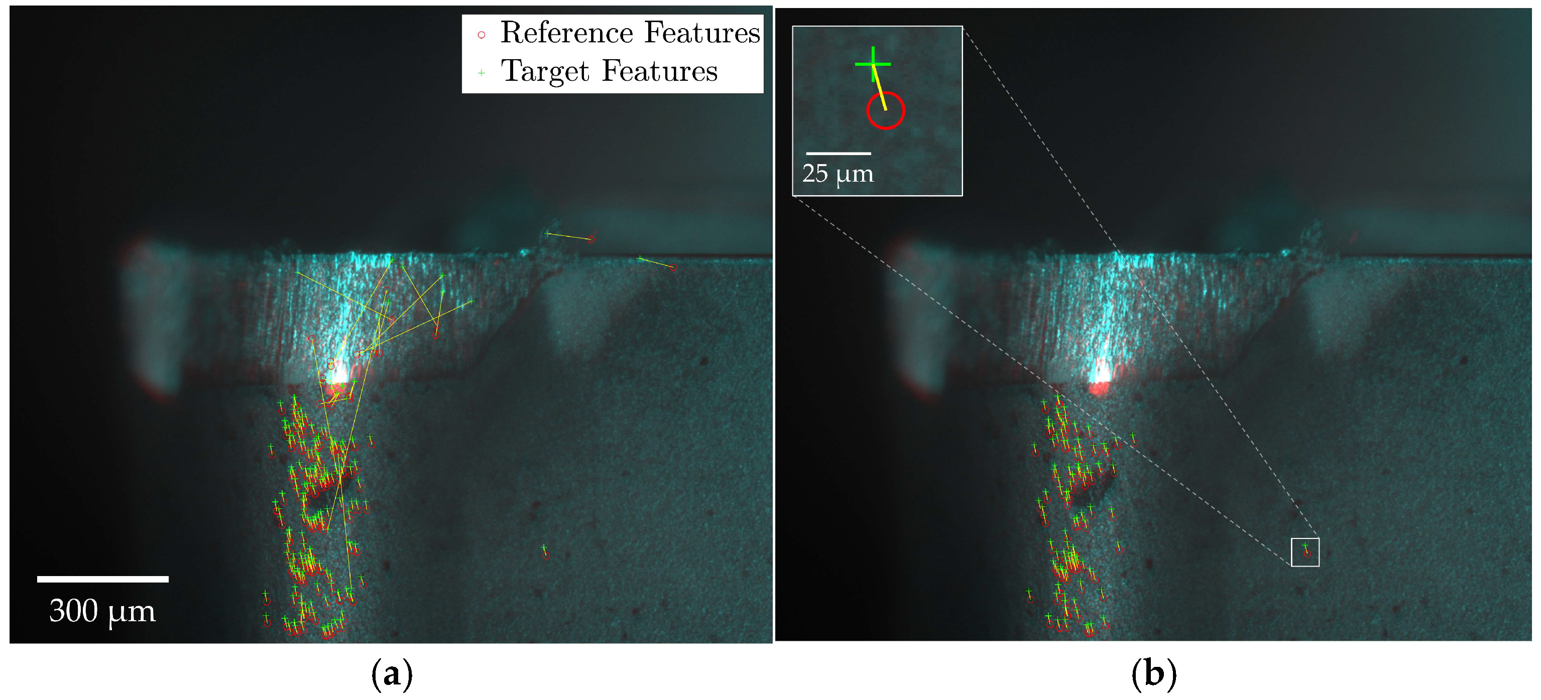 Sensors 24 07458 g011
