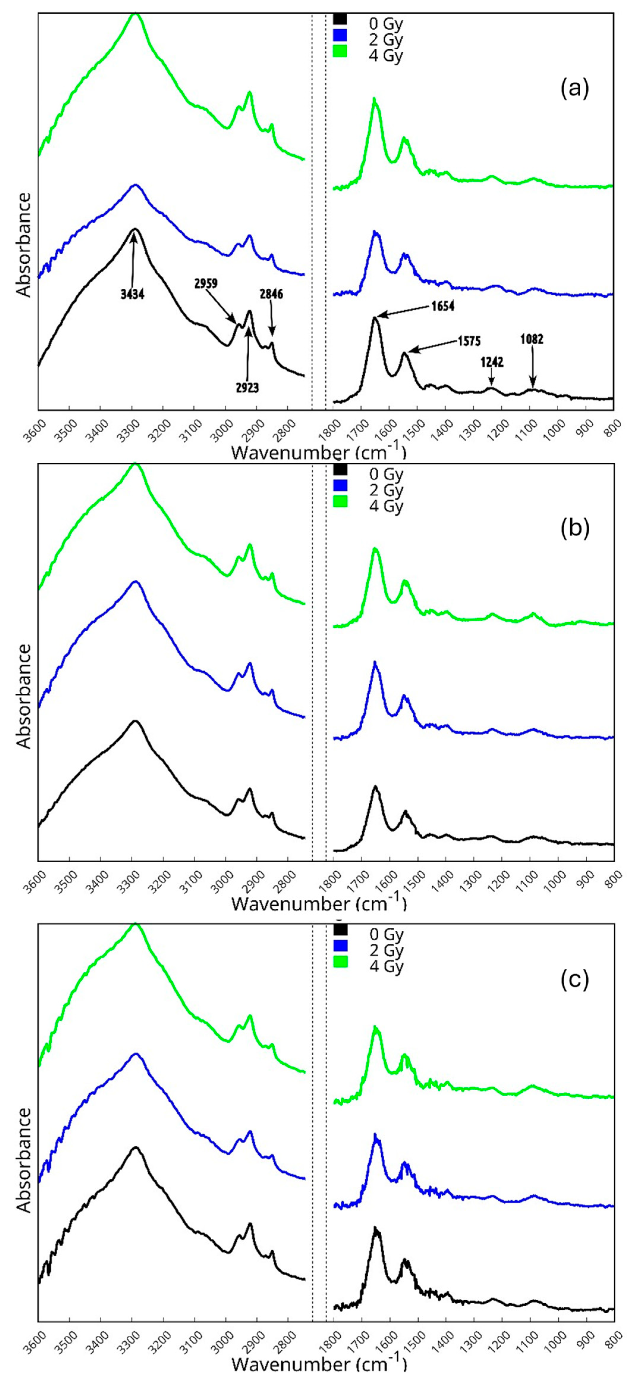 Sensors 24 07459 g002 Sensors 24 07459 g002