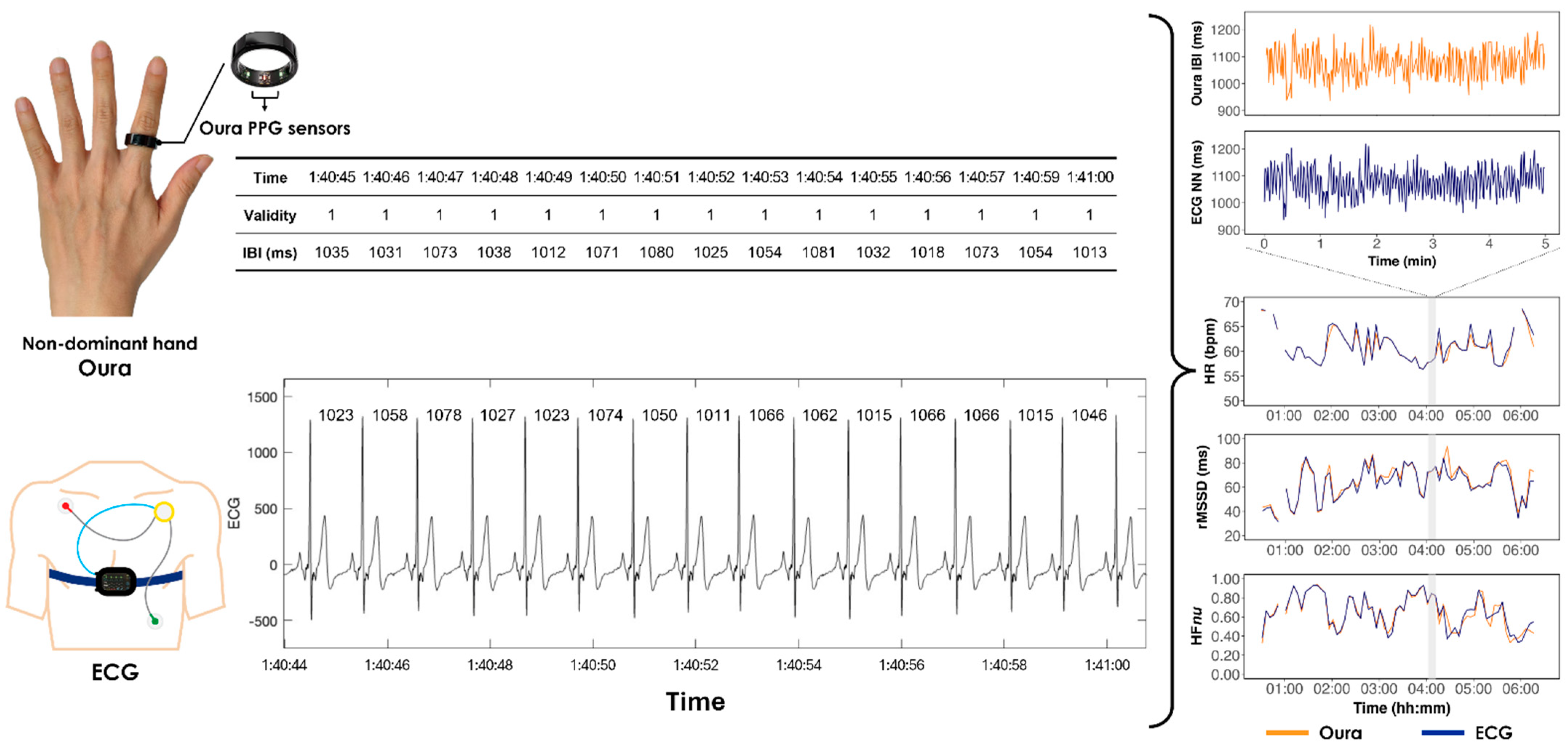 Sensors 24 07475 g001 Sensors 24 07475 g001