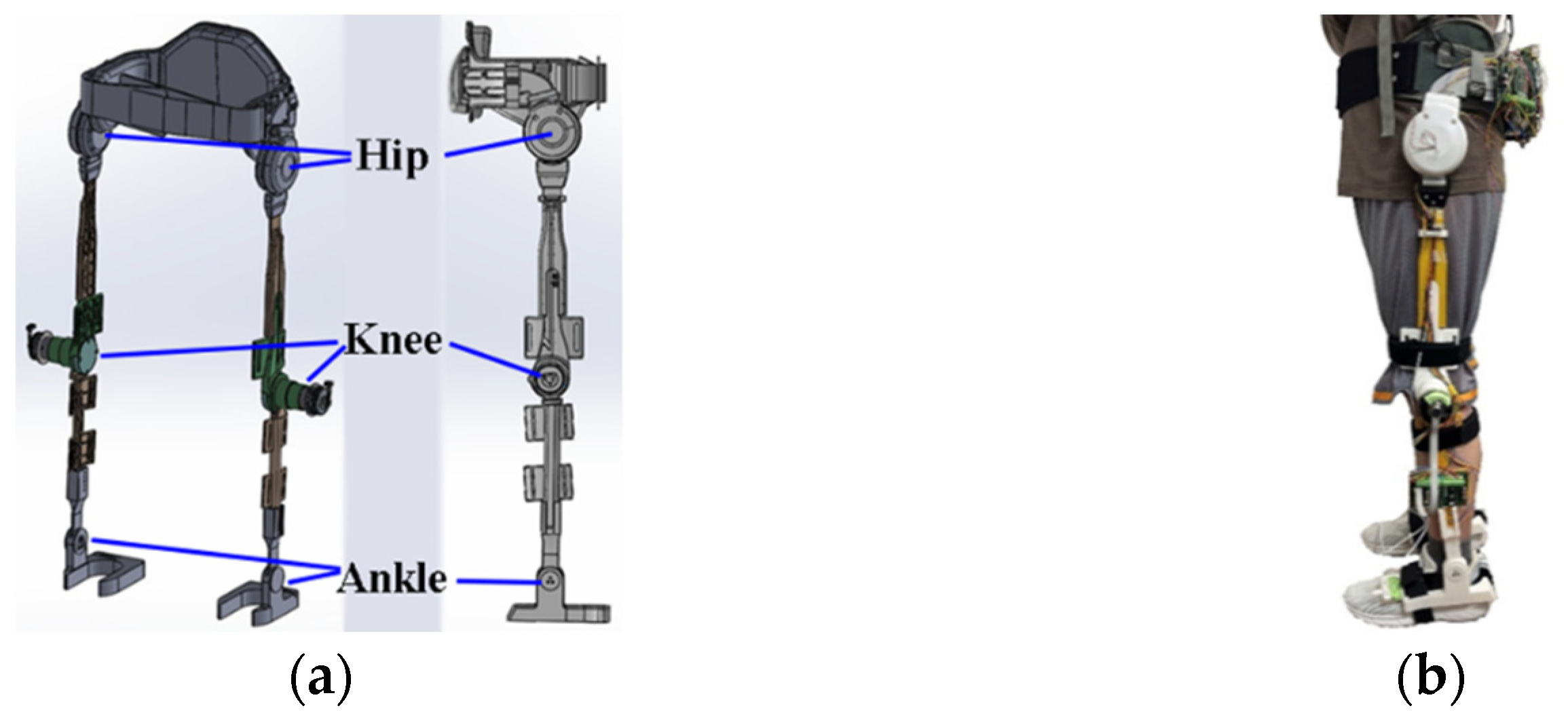 Sensors 24 07498 g001