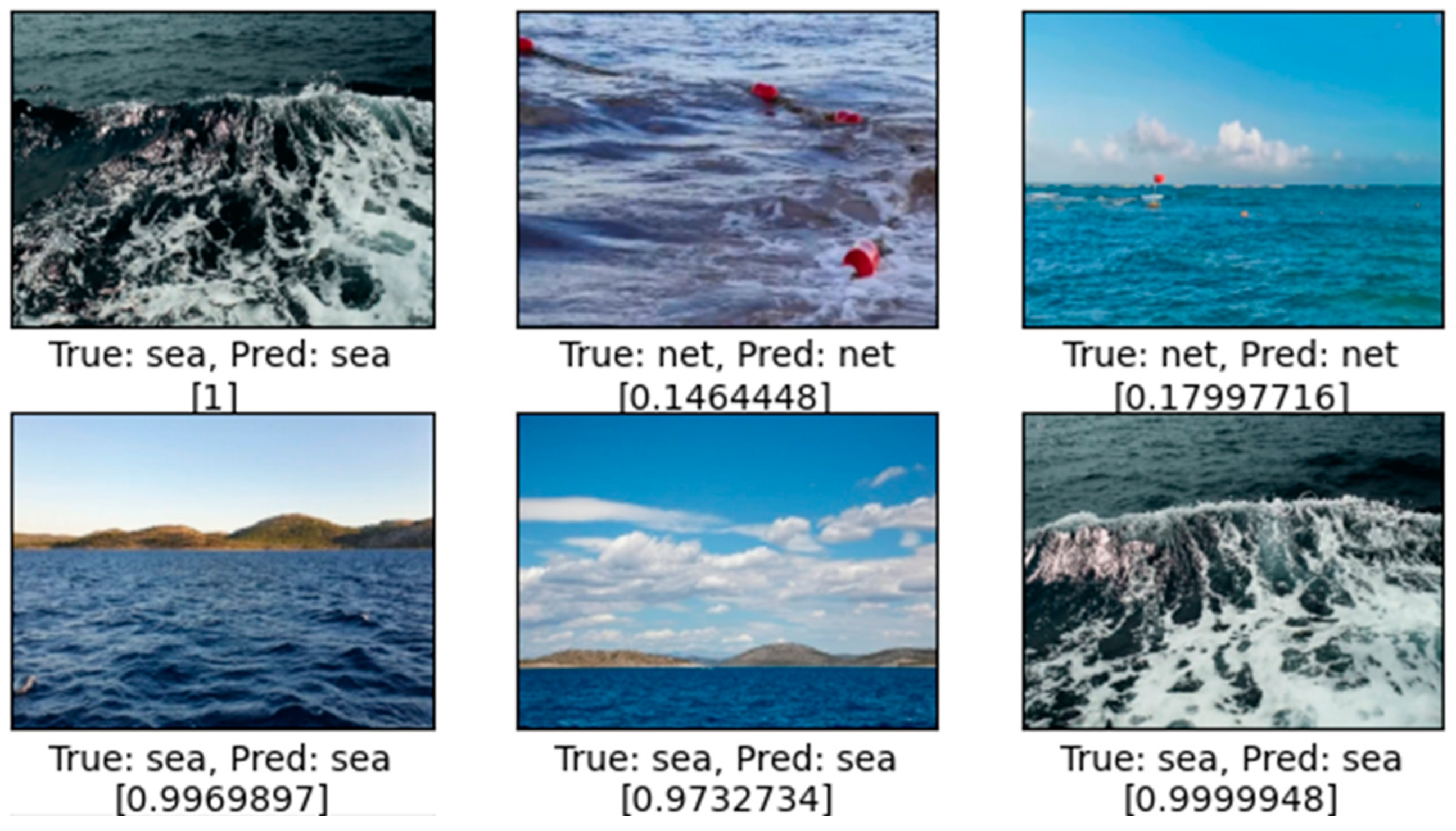 Sensors 24 07505 g006