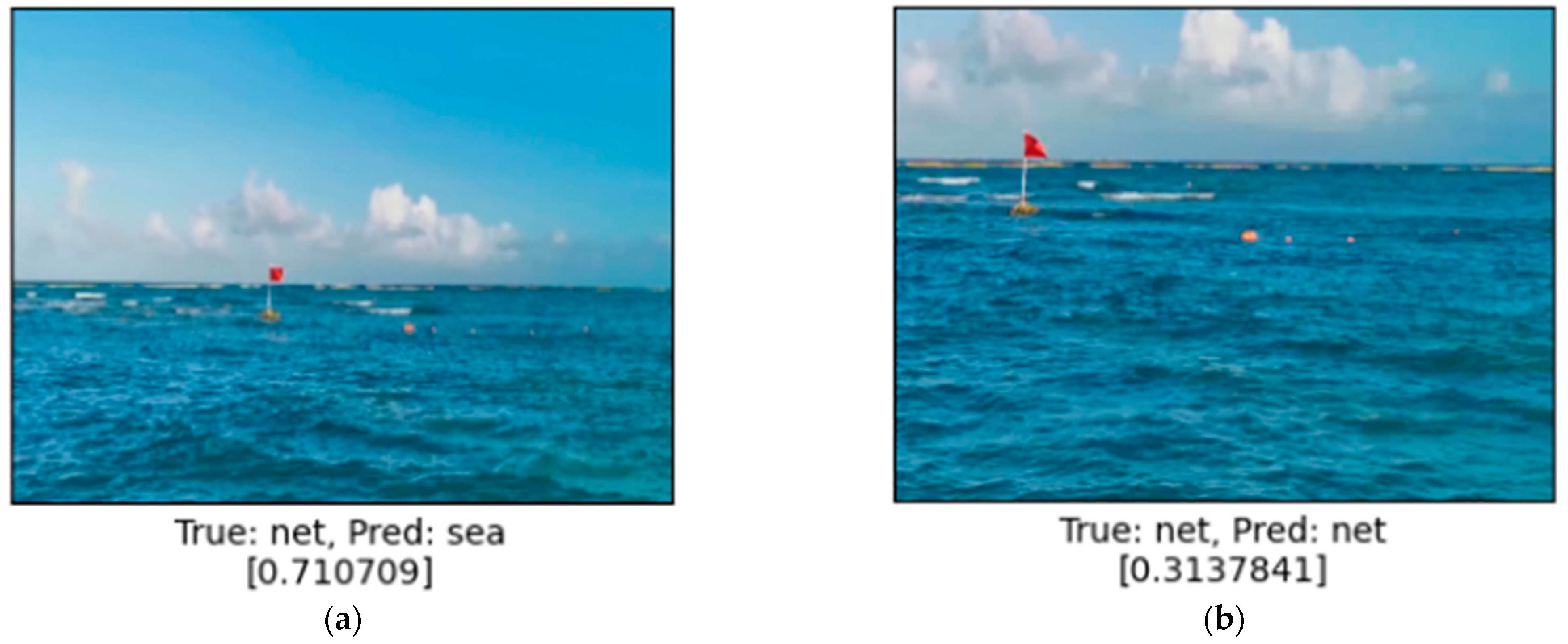 Sensors 24 07505 g008