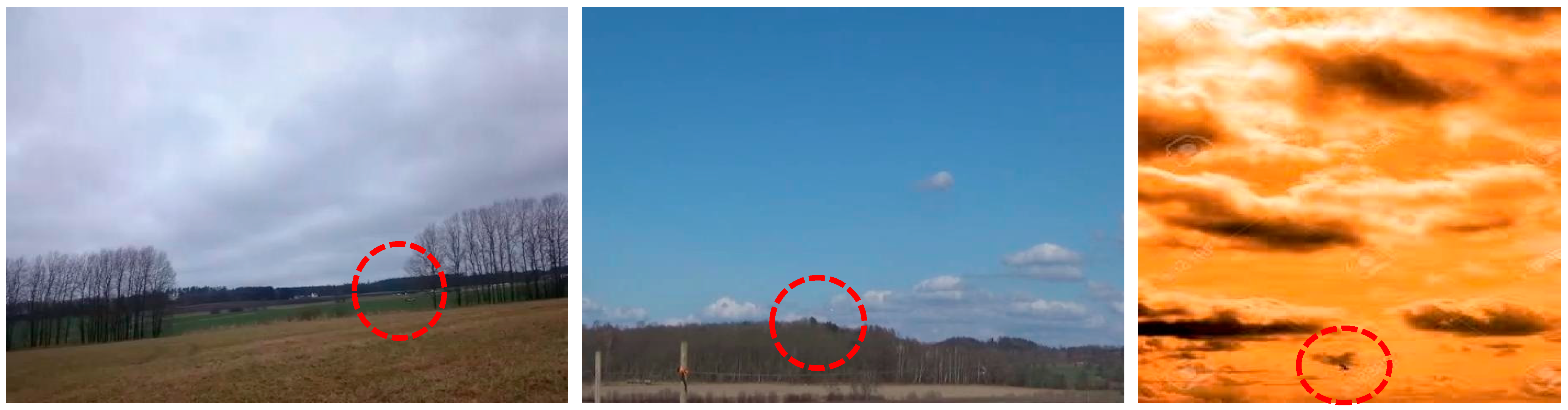 Sensors 24 07512 g008