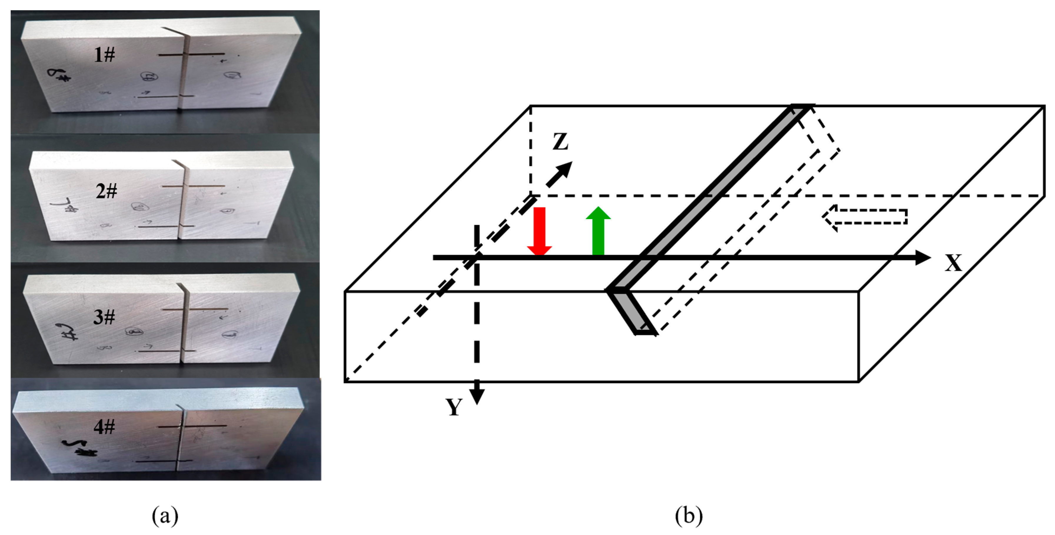 Sensors 24 07519 g007