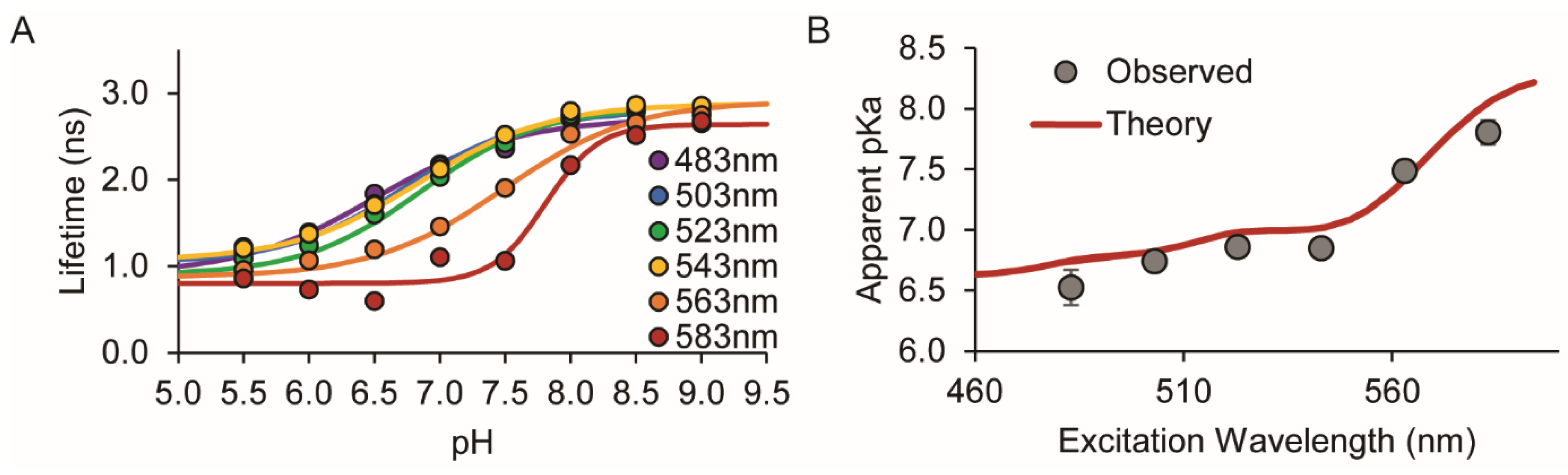 Sensors 24 07531 g001