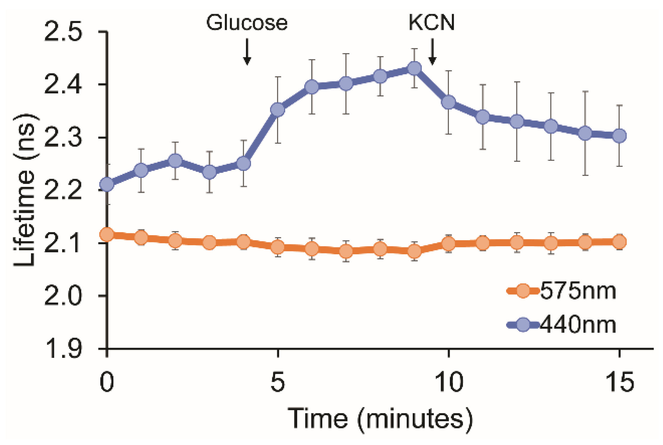 Sensors 24 07531 g003