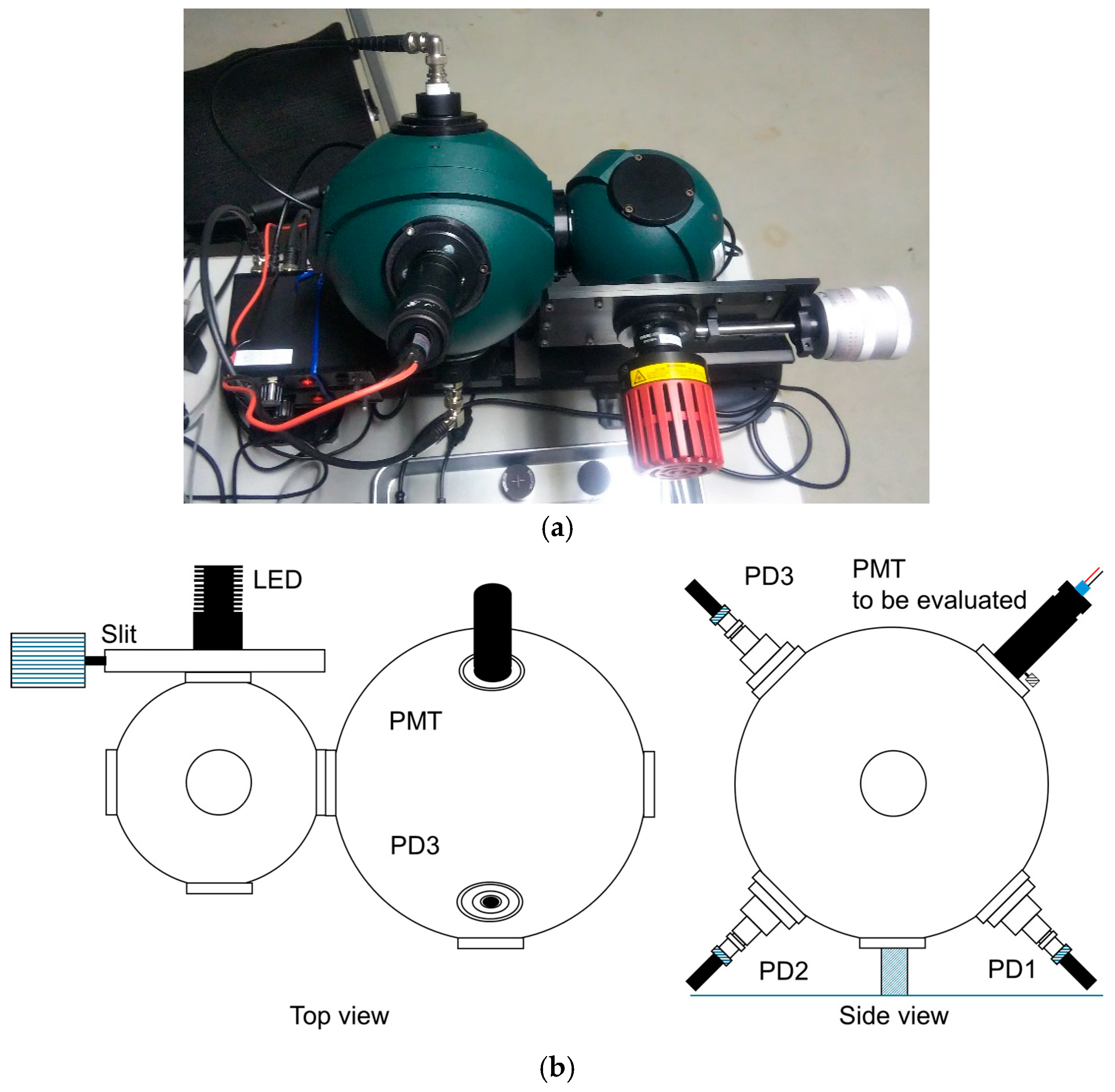 Sensors 24 07544 g002