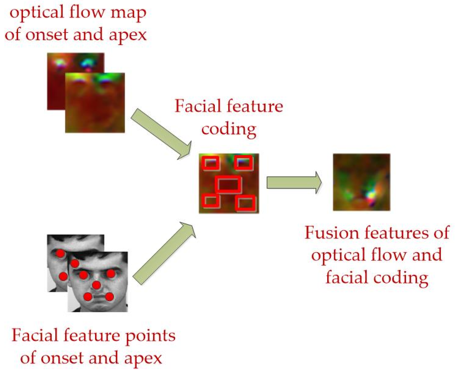 Sensors 24 07549 g003