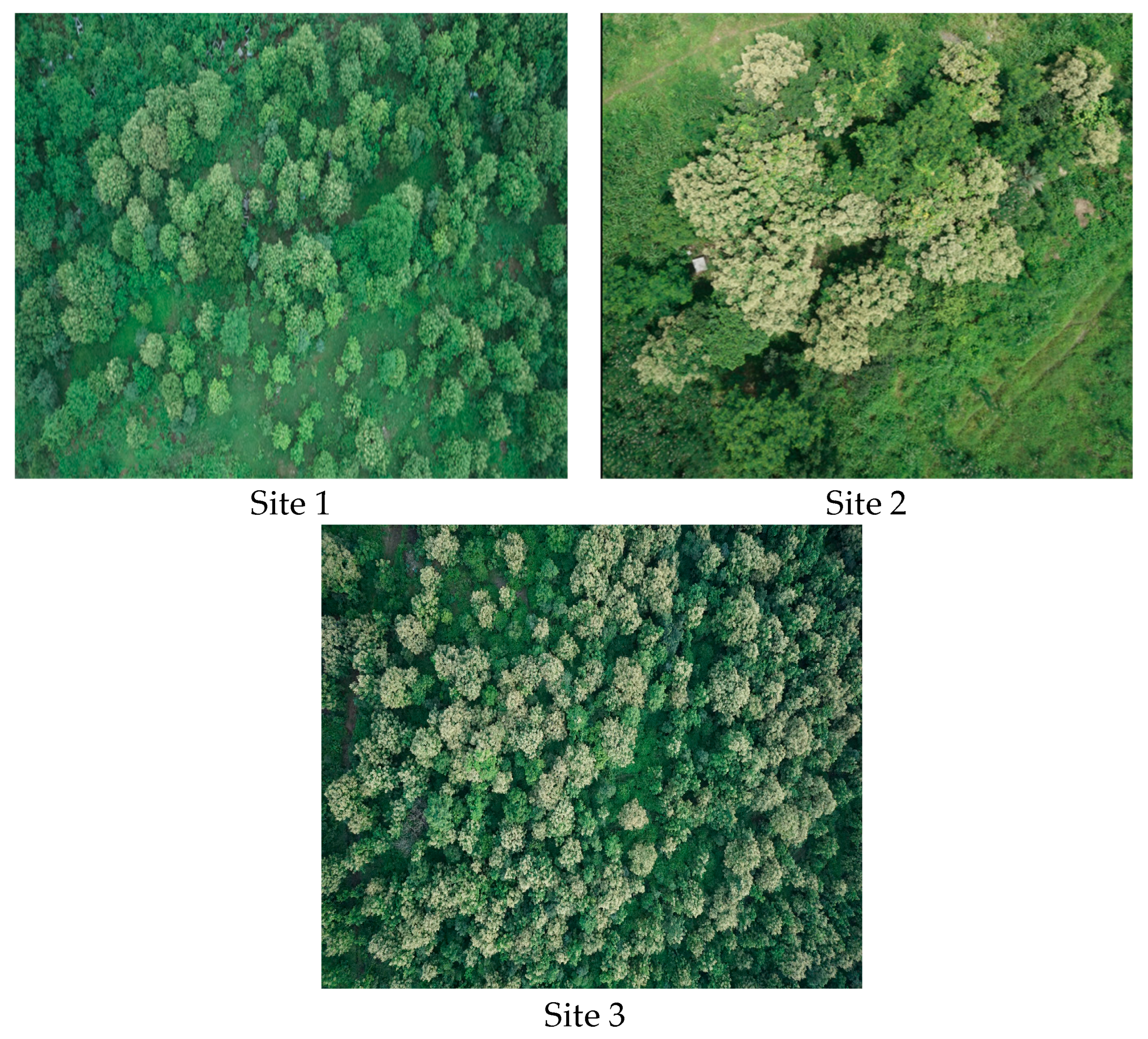 Sensors 24 07559 g006