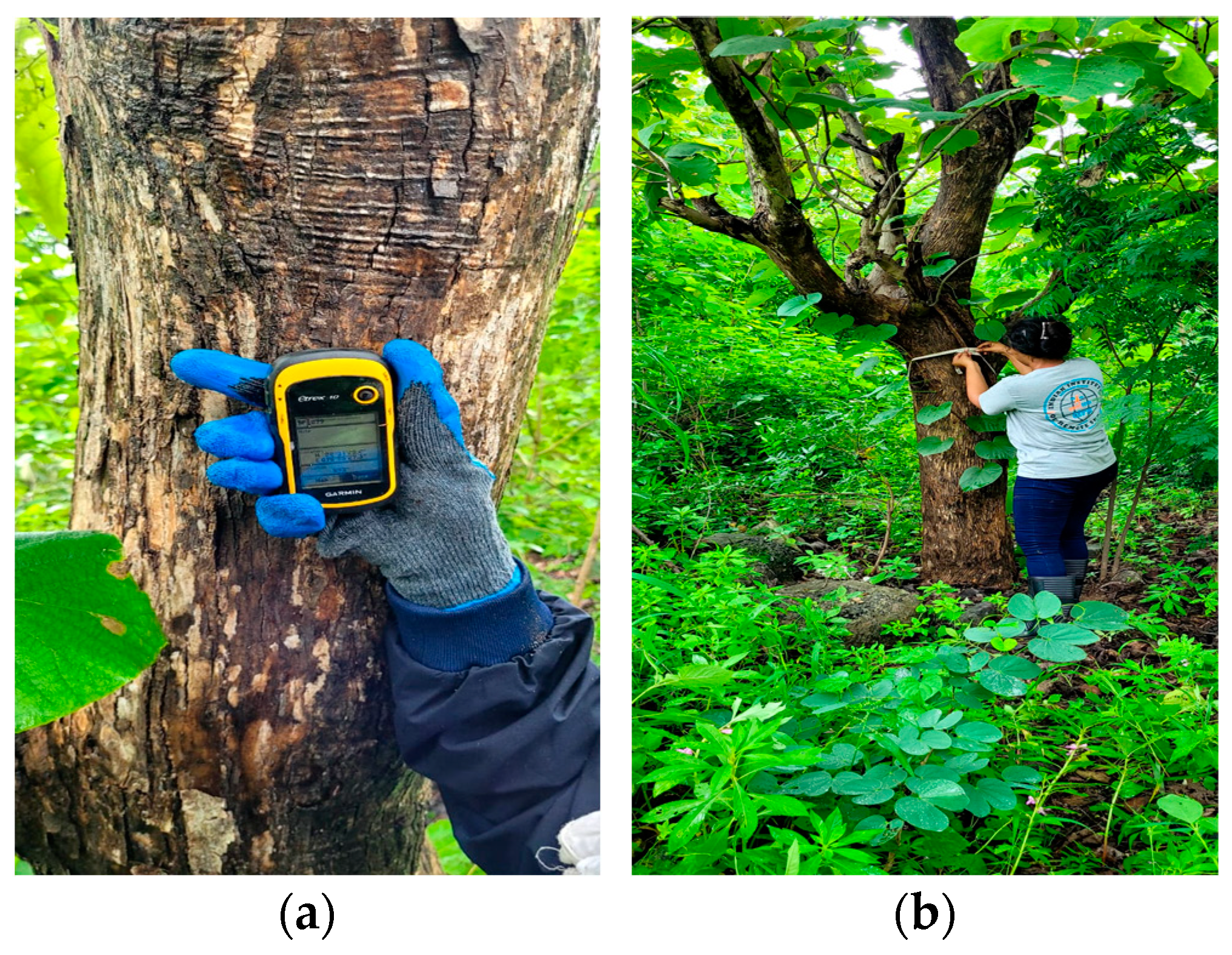 Sensors 24 07559 g007