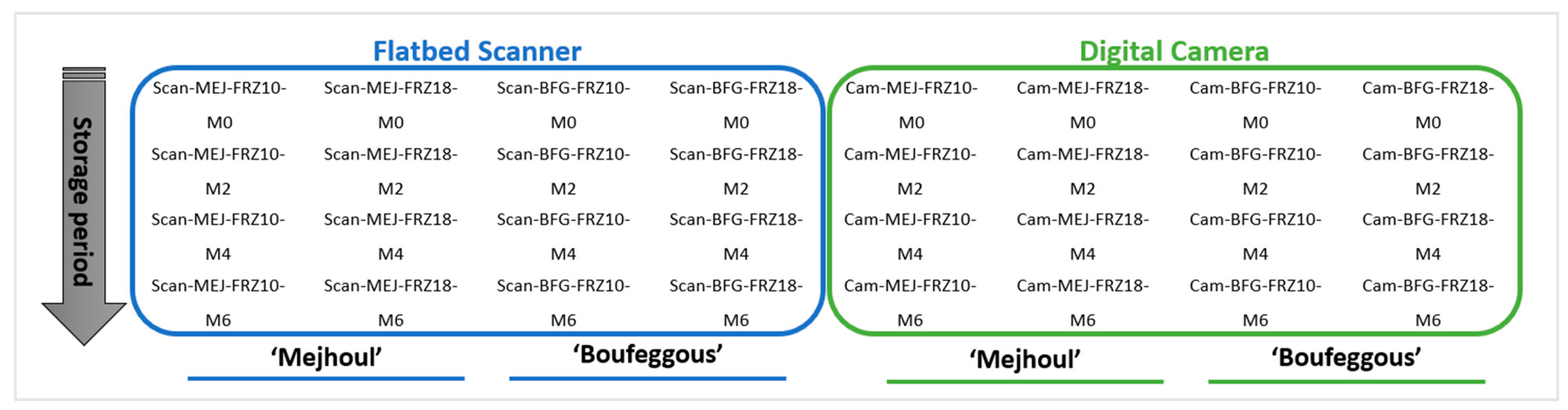 Sensors 24 07560 g001