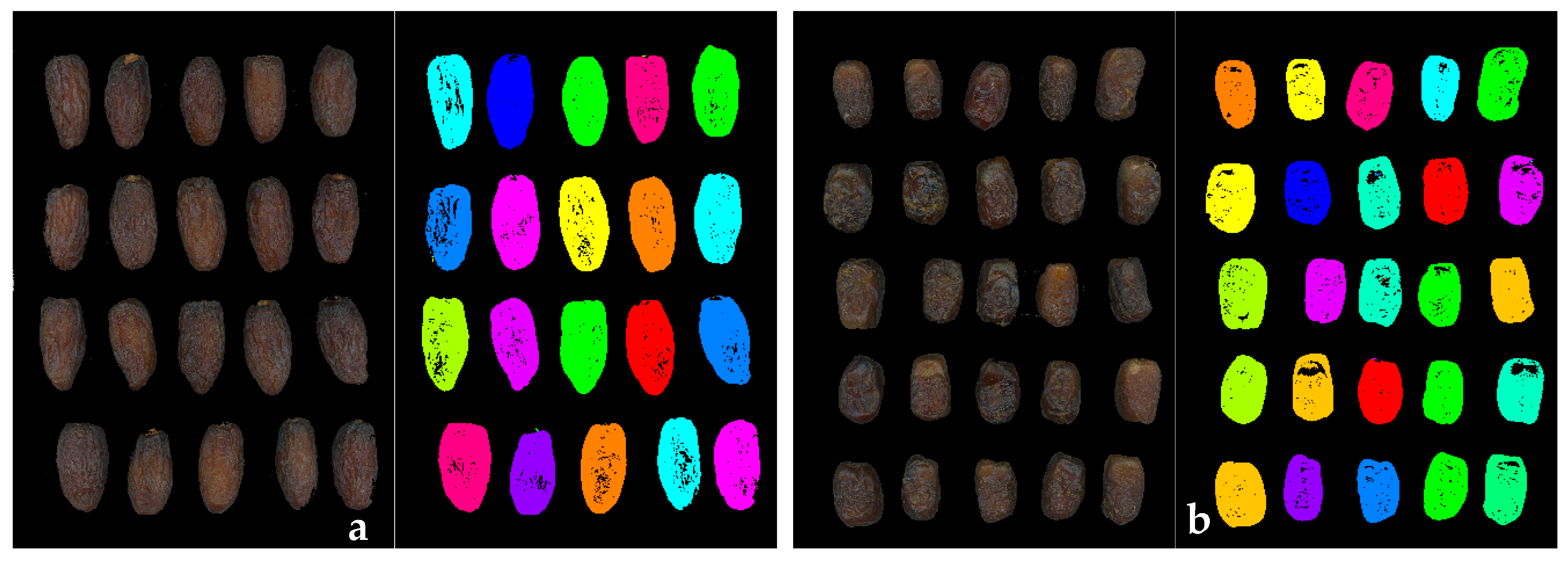 Sensors 24 07560 g003