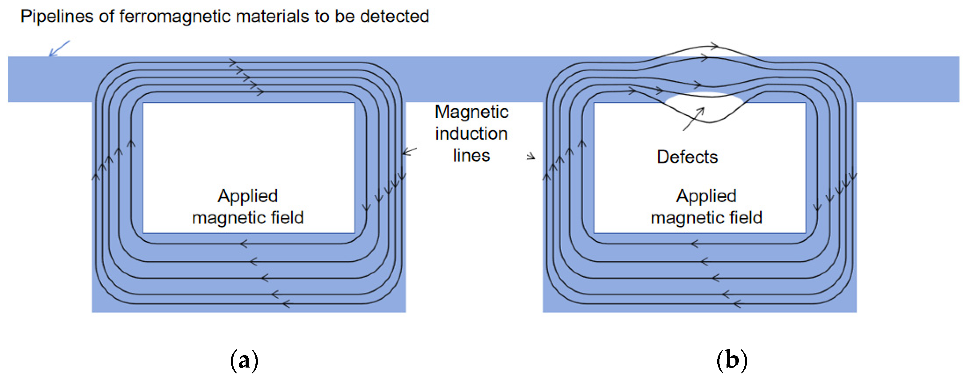 Sensors 24 07563 g002