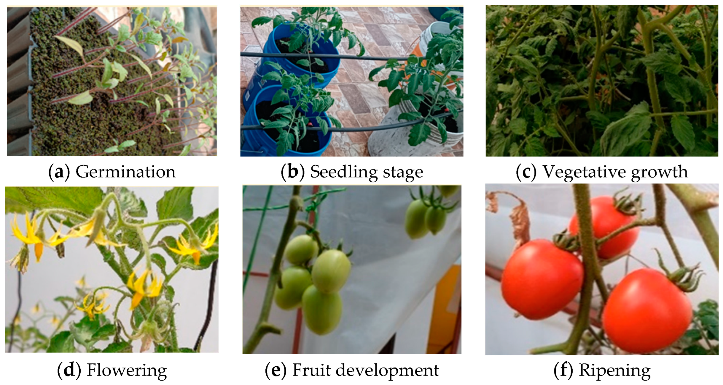 Sensors 24 07620 g013