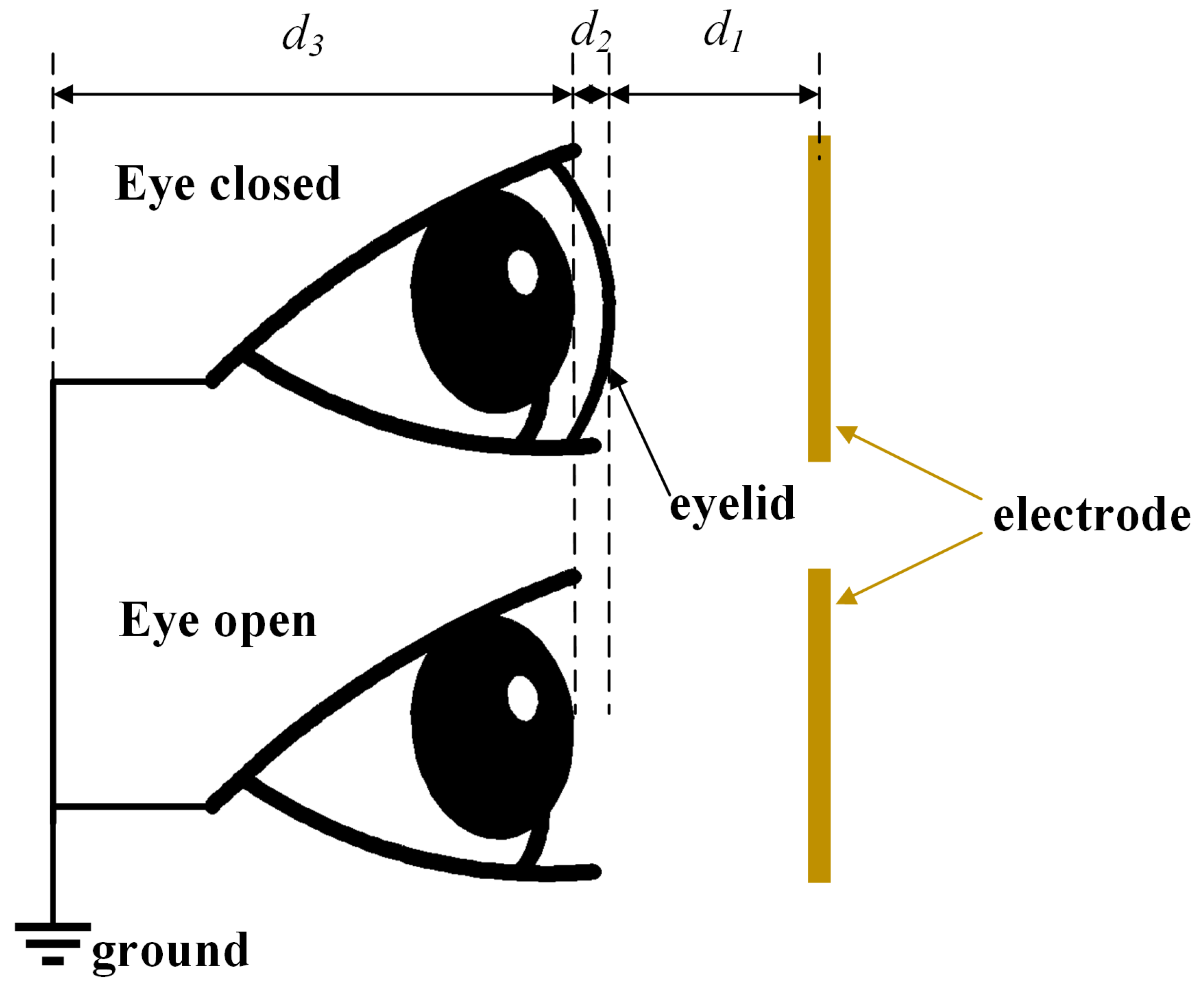 Sensors 24 07633 g003