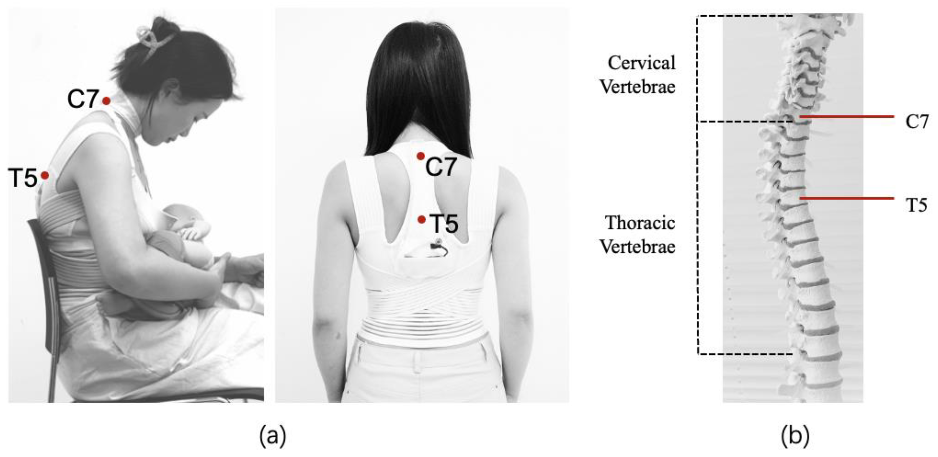 Sensors 24 07641 g003