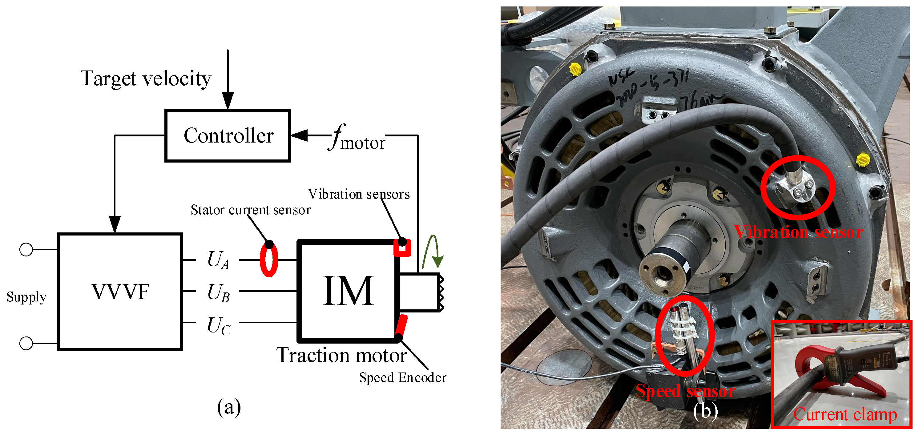 Sensors 24 07675 g007