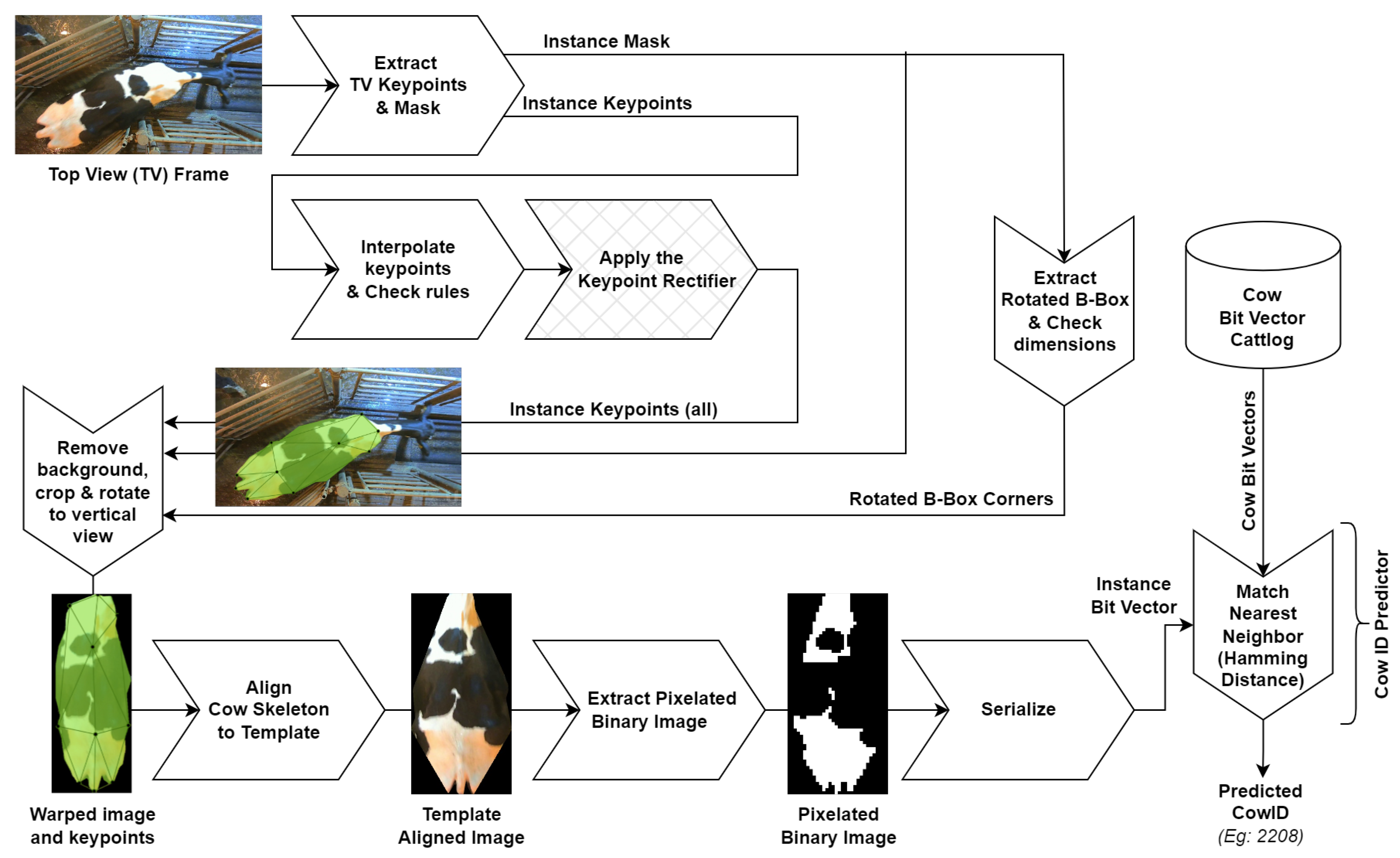 Sensors 24 07680 g001