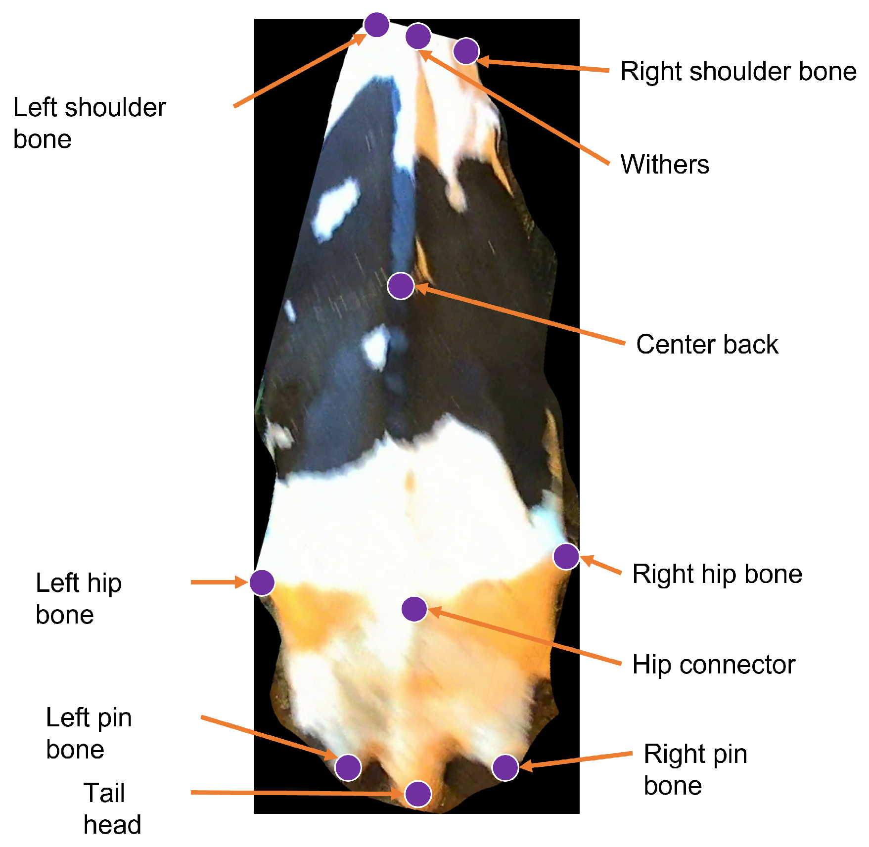 Sensors 24 07680 g003