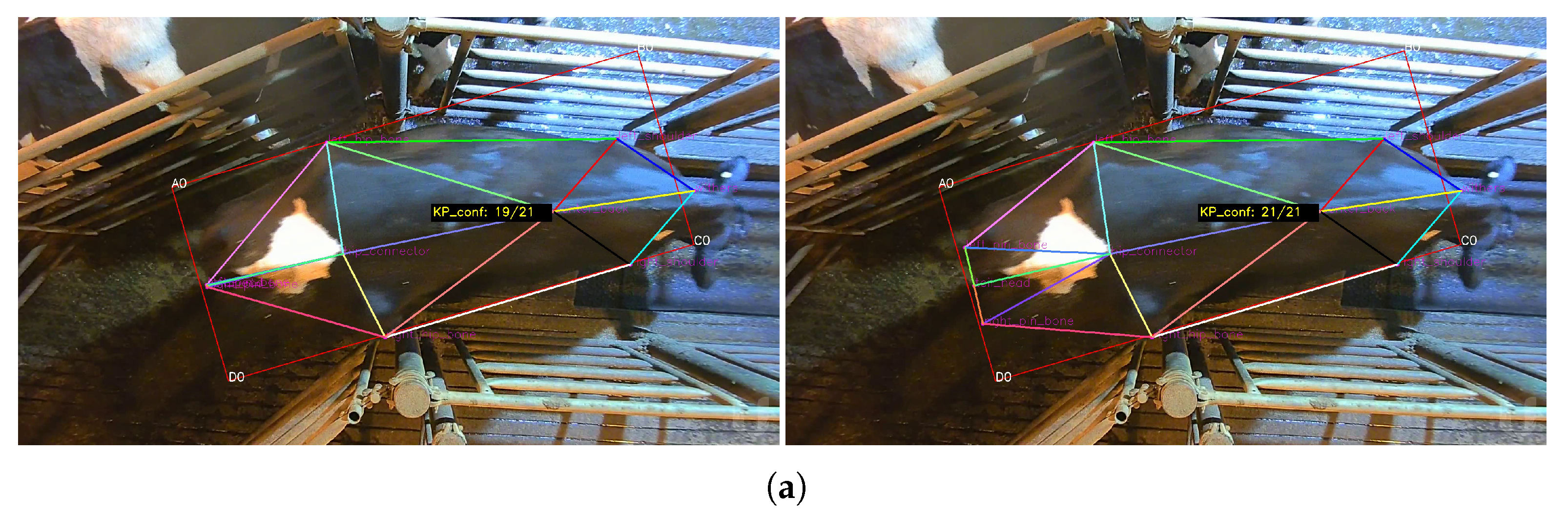 Sensors 24 07680 g007a