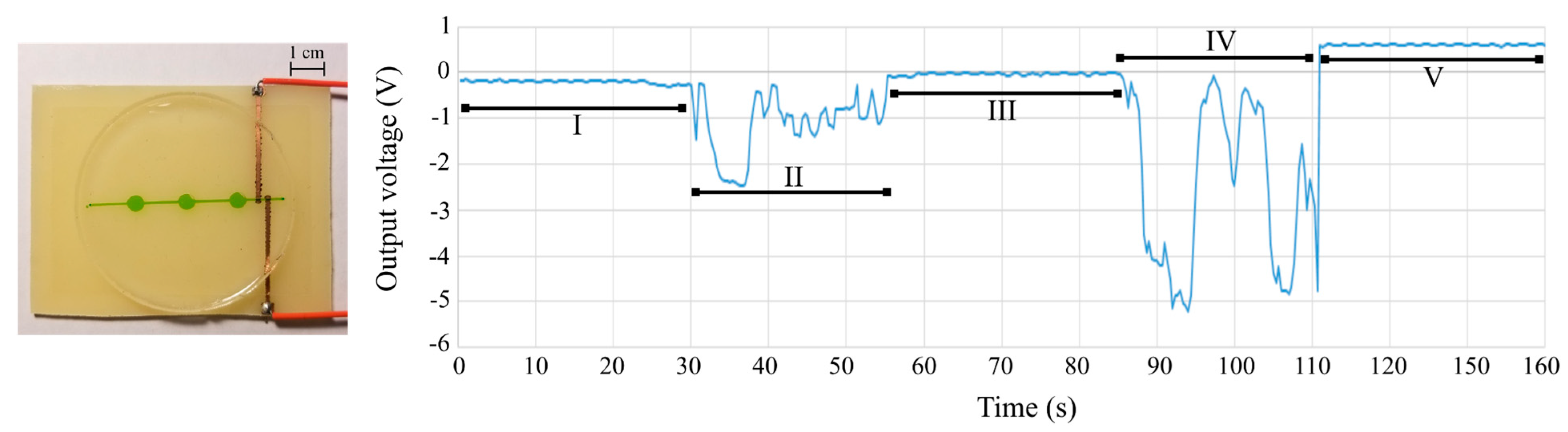 Sensors 24 07704 g009