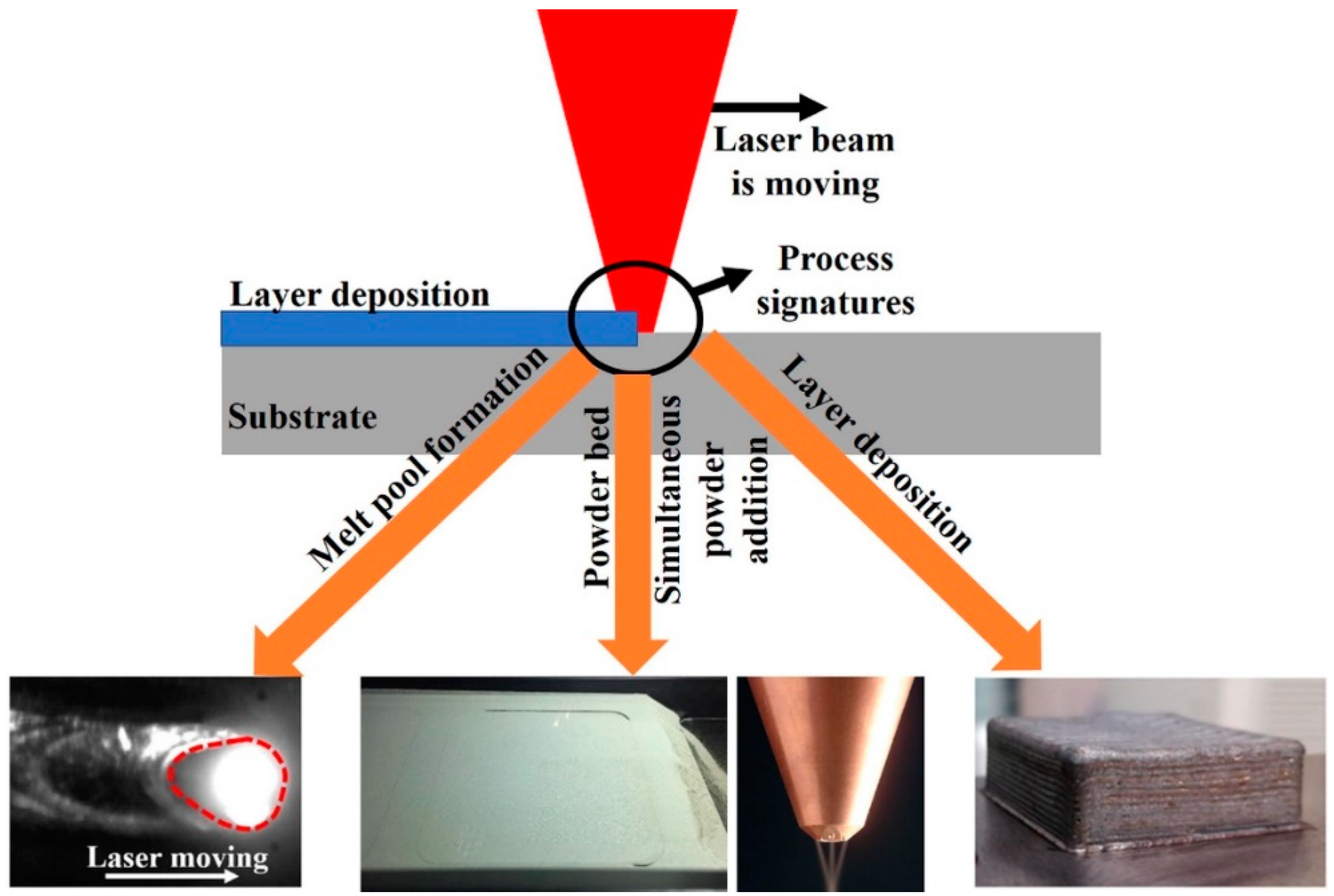 Sensors 24 07709 g006