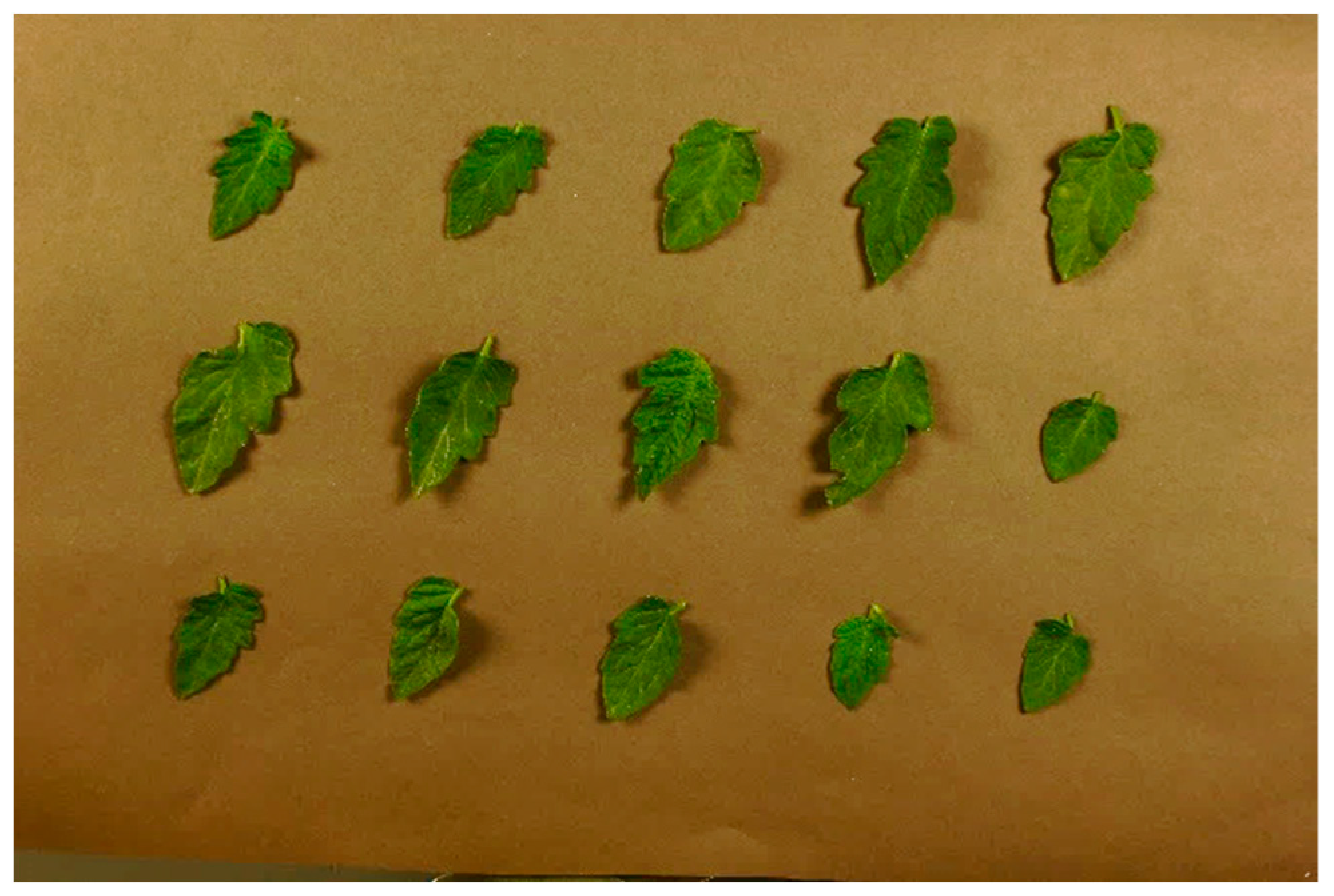 Sensors 24 07728 g004