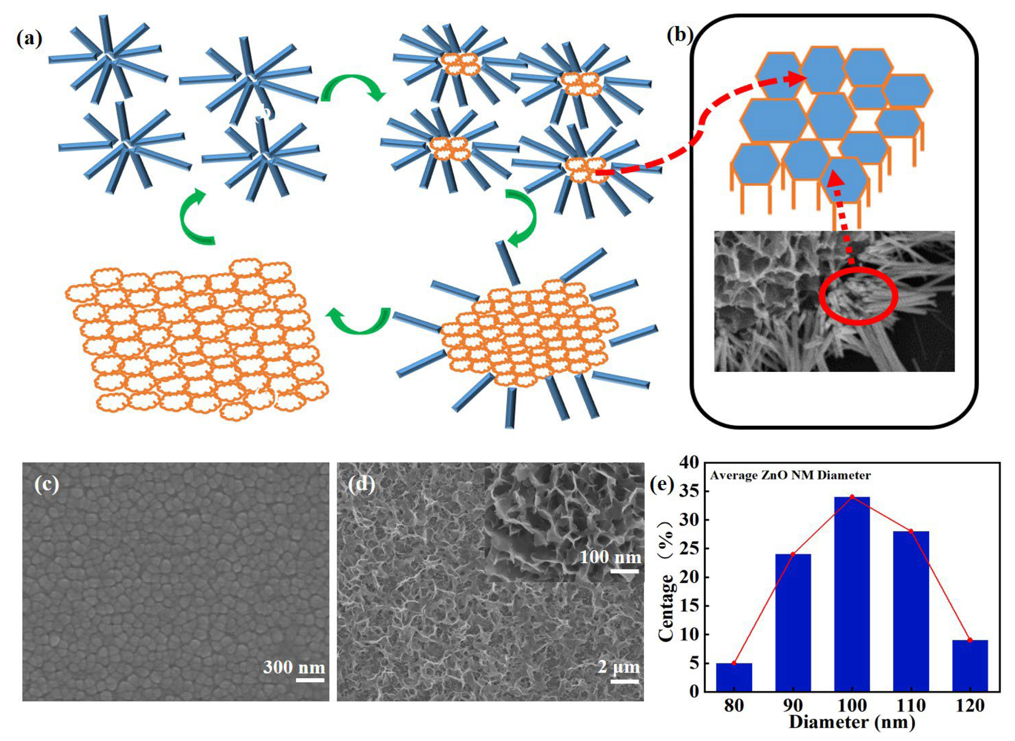 Sensors 24 07733 g002