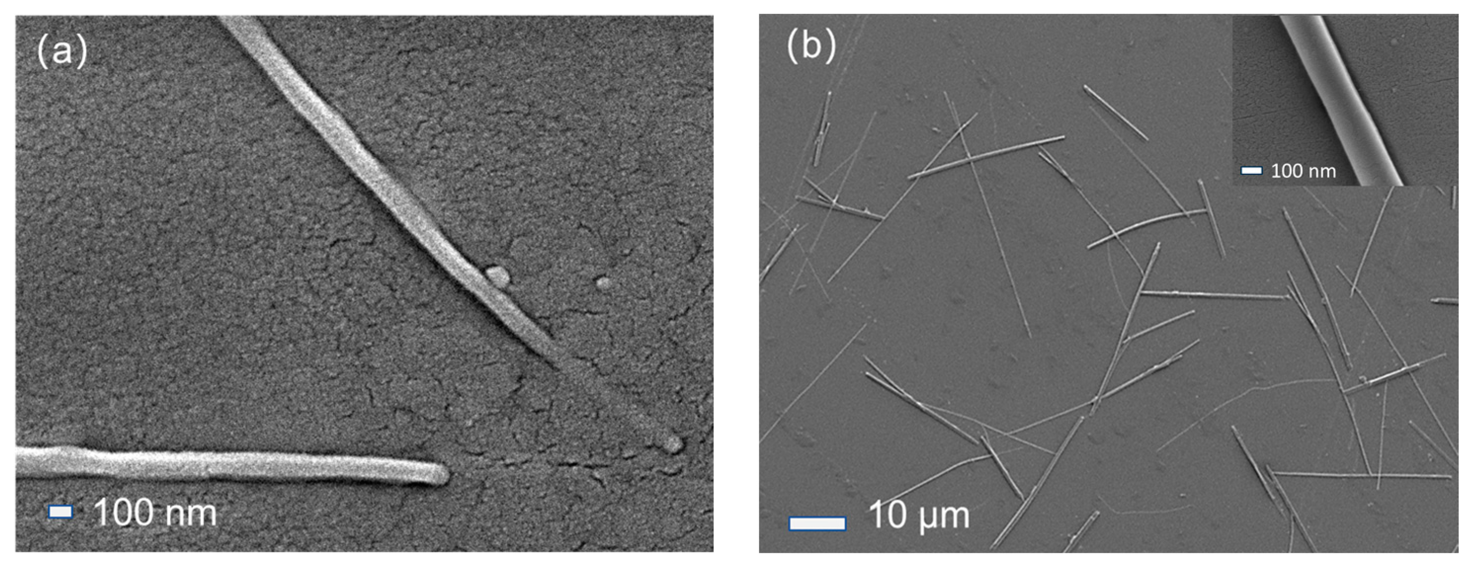 Sensors 24 07751 g002