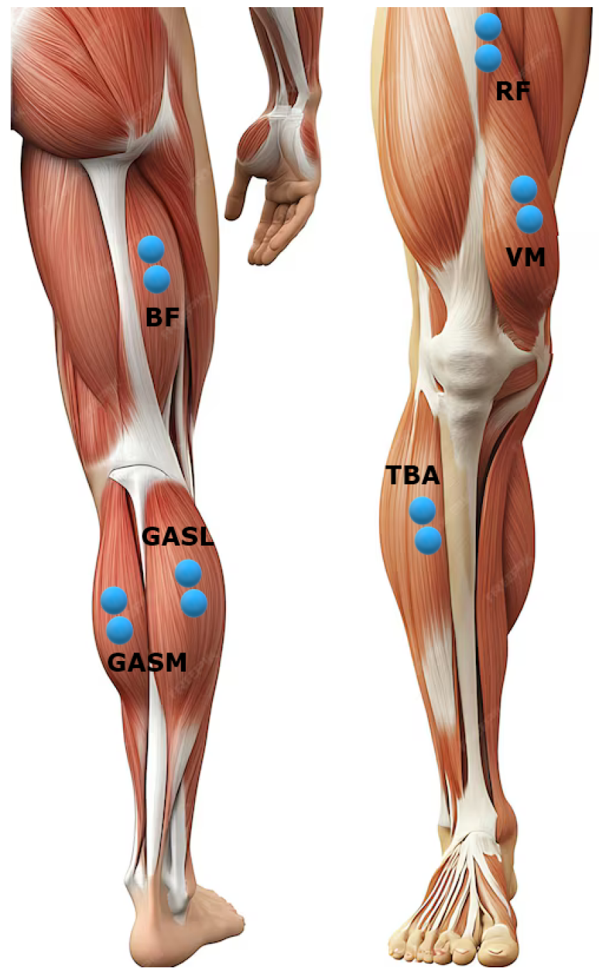 Sensors 24 07768 g001