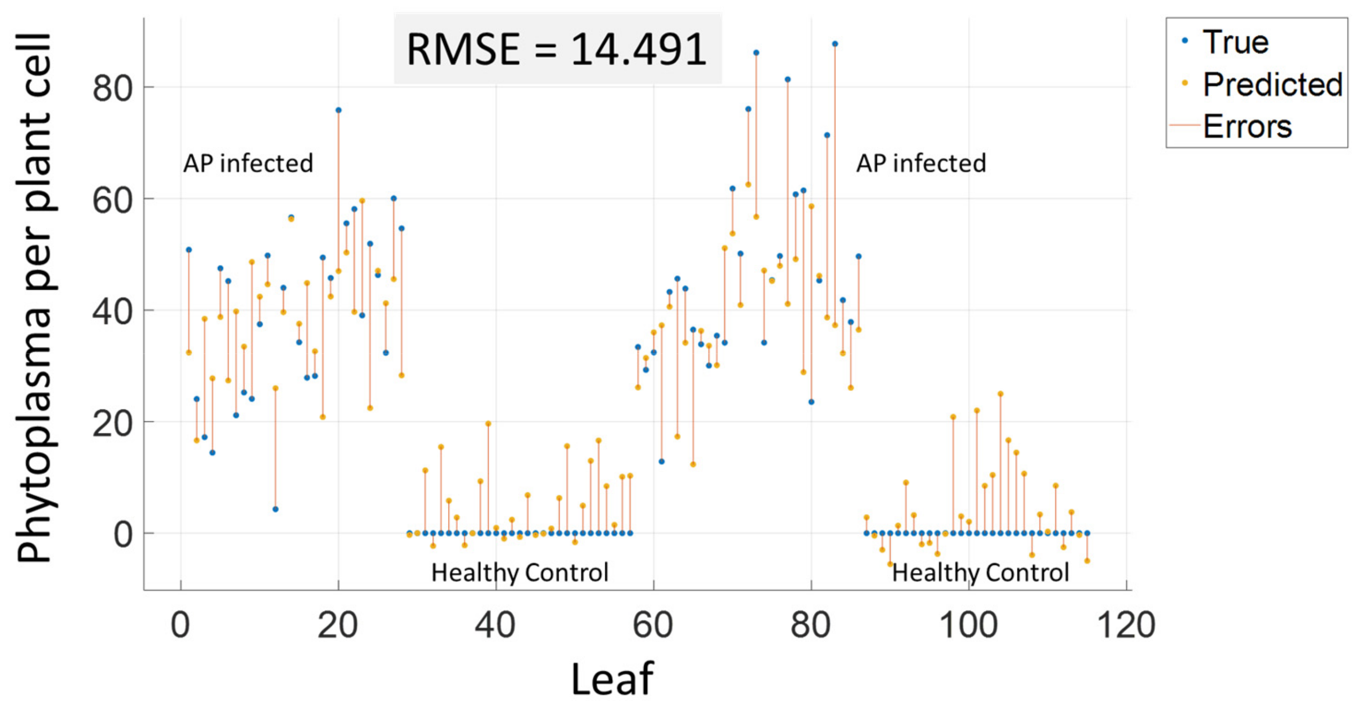 Sensors 24 07774 g003