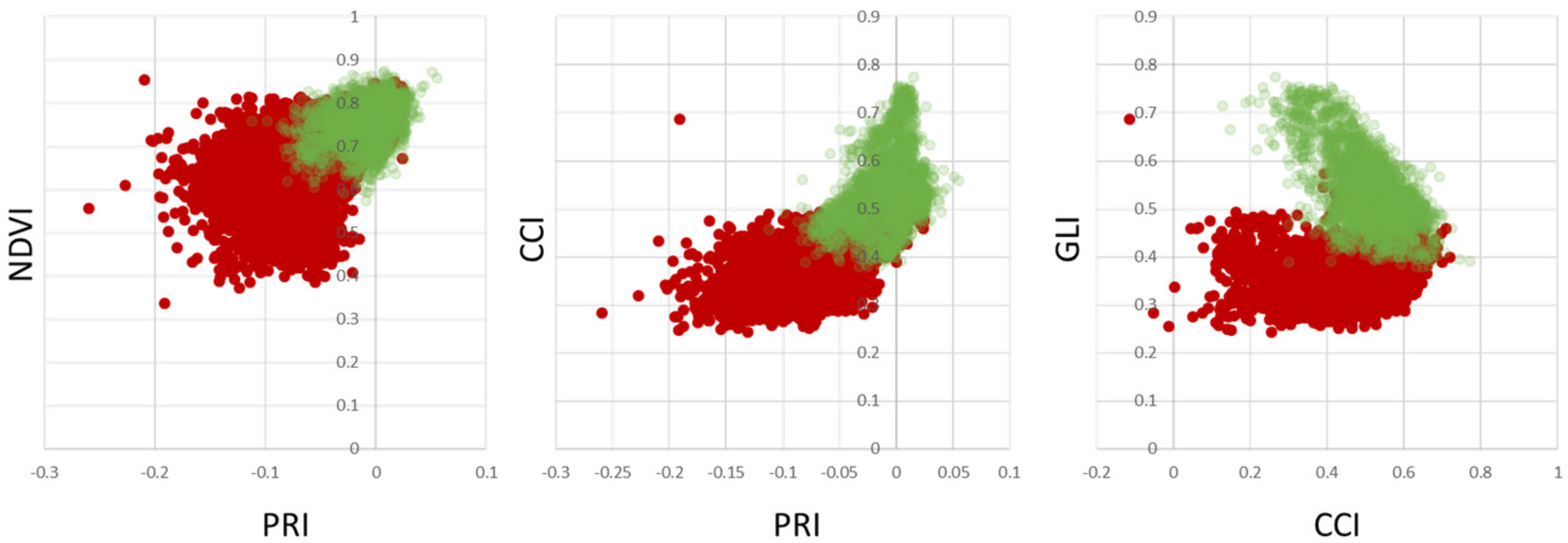 Sensors 24 07774 g006