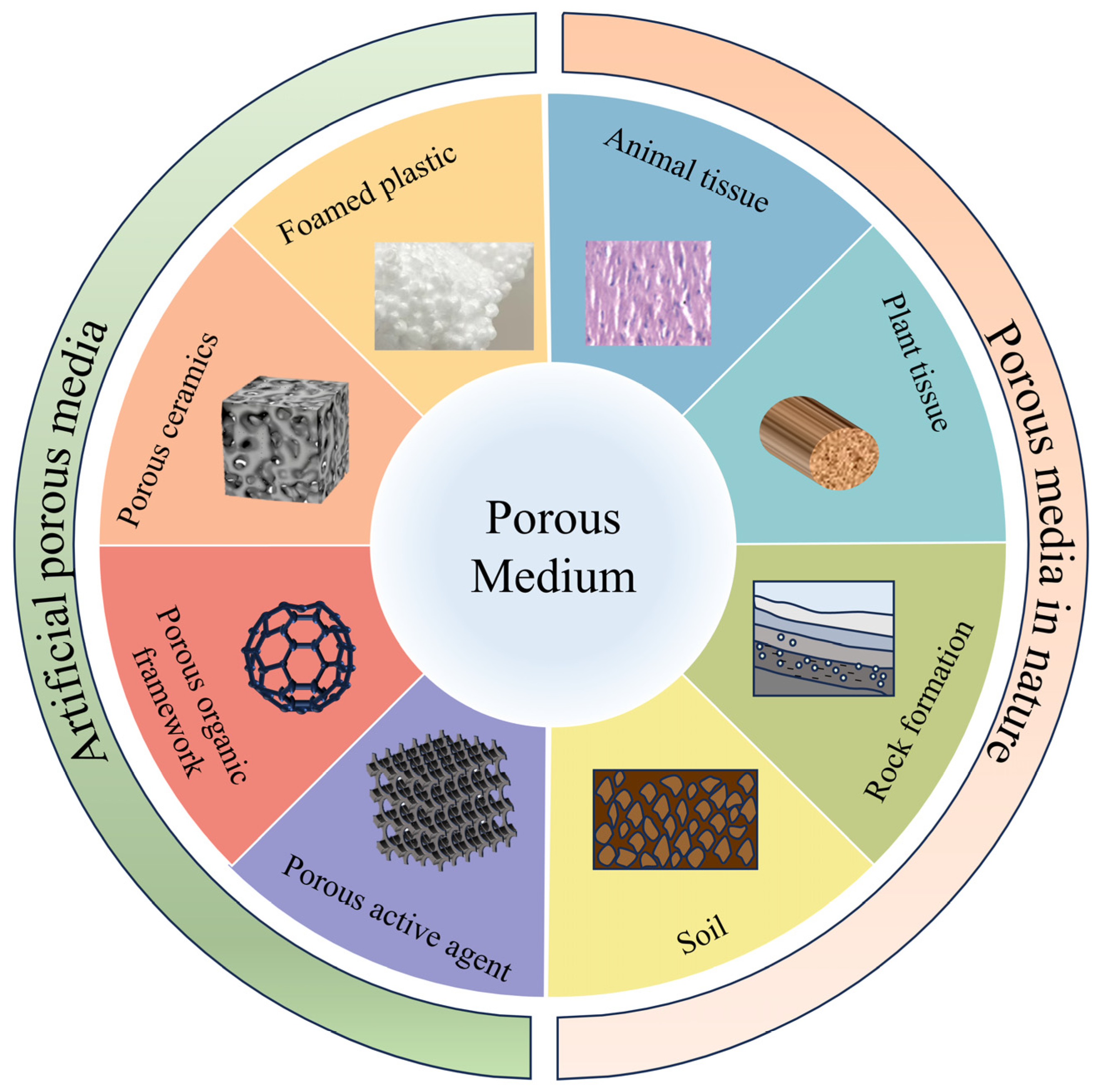 Sensors 24 07777 g001