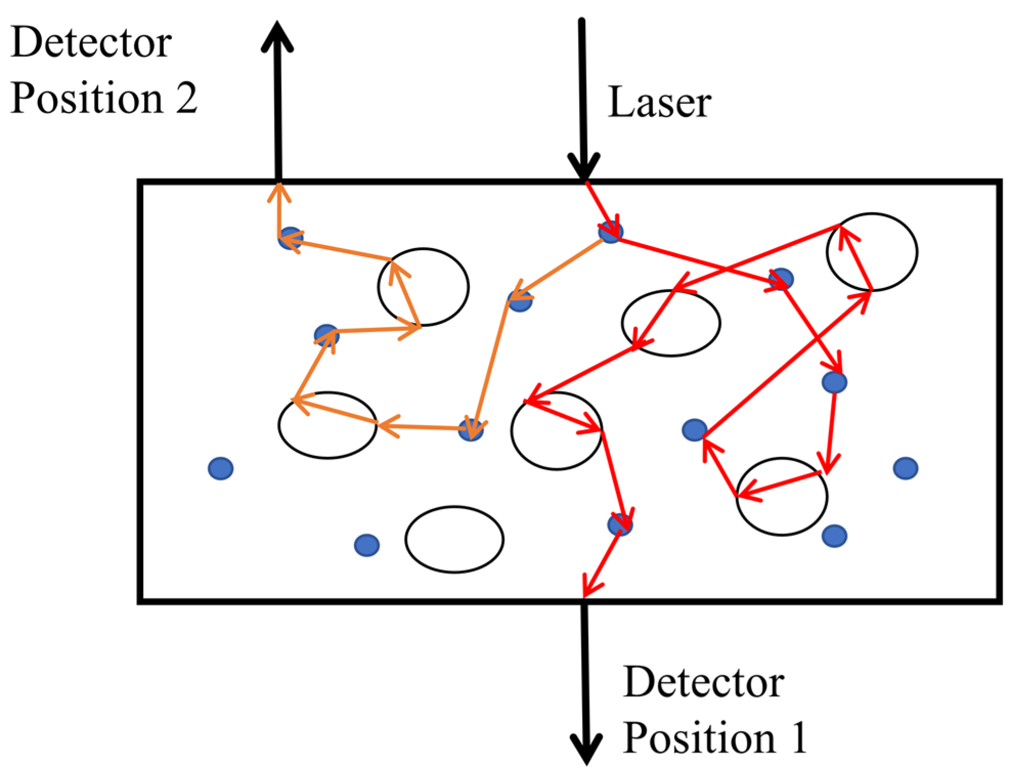 Sensors 24 07777 g004