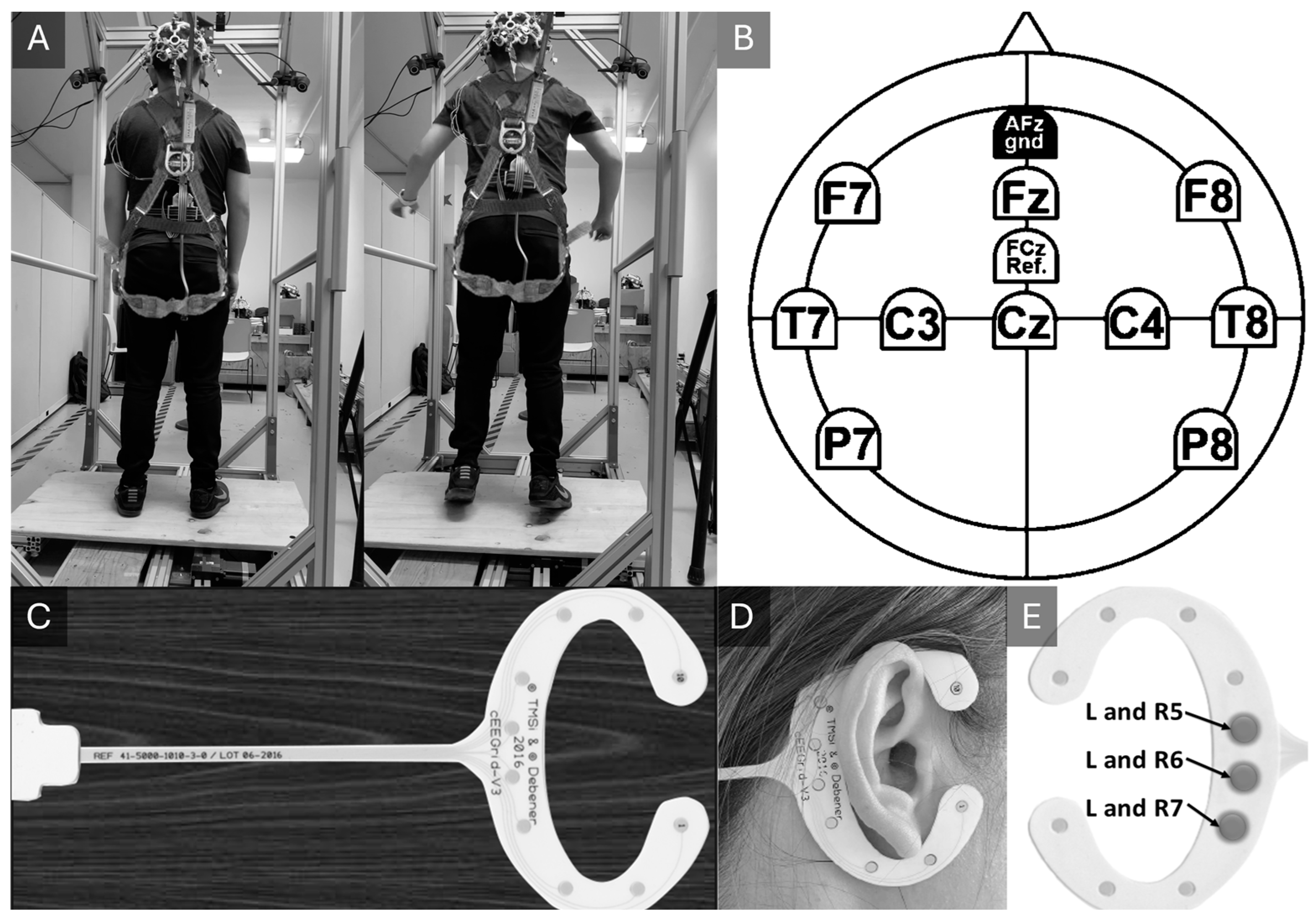 Sensors 24 07779 g001