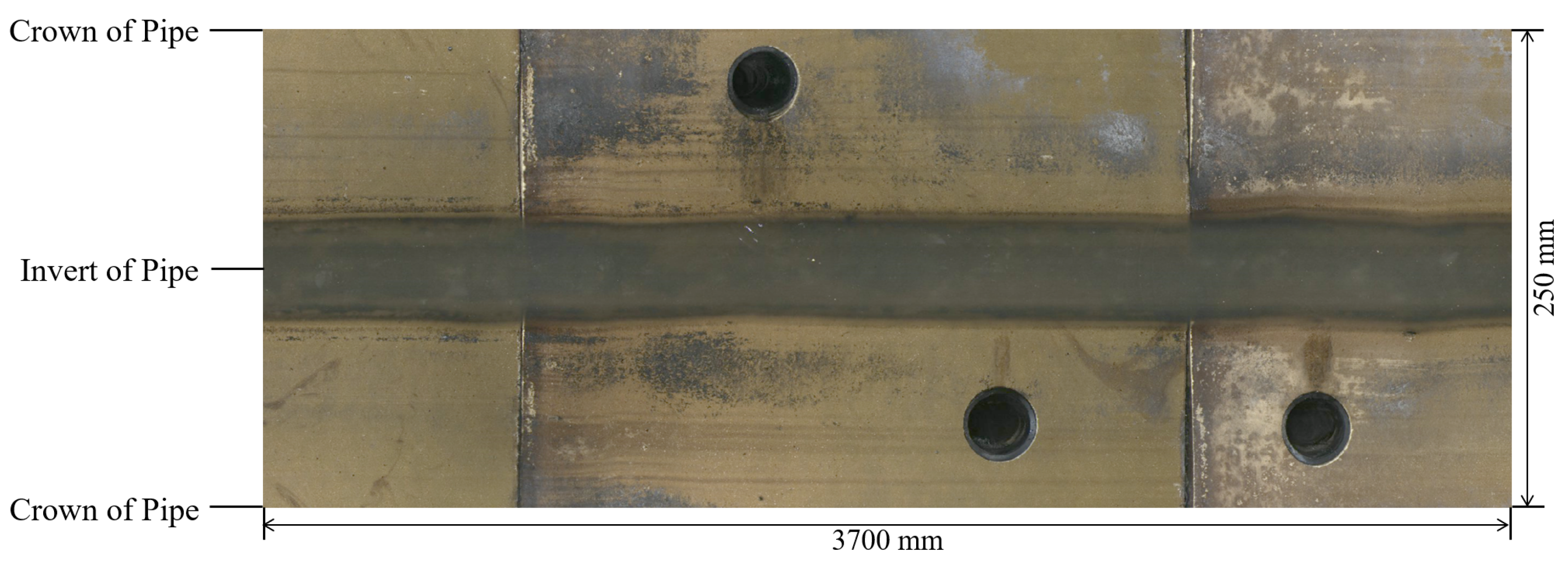 Sensors 24 07786 g001